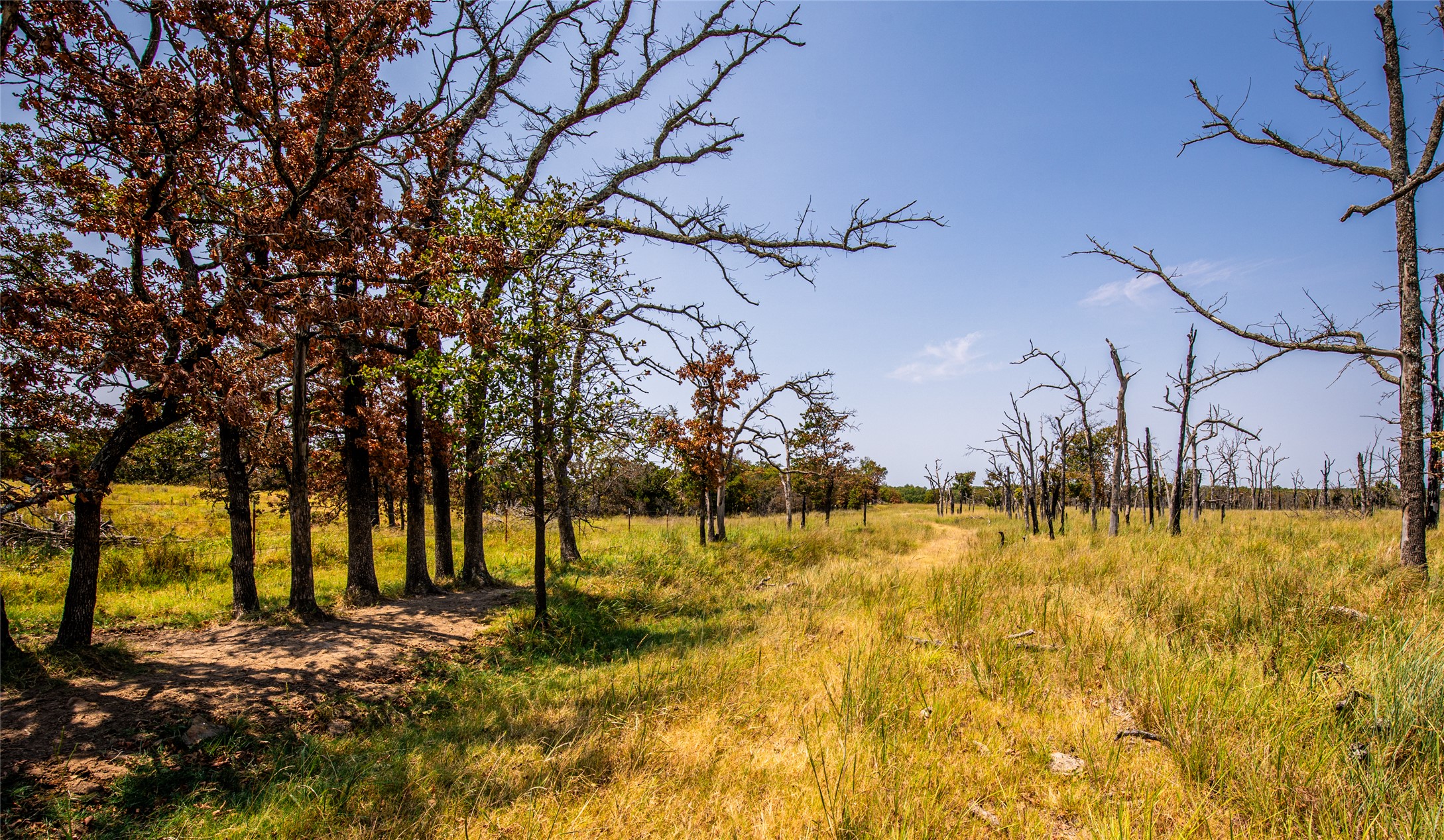 County Road Property Photo 47