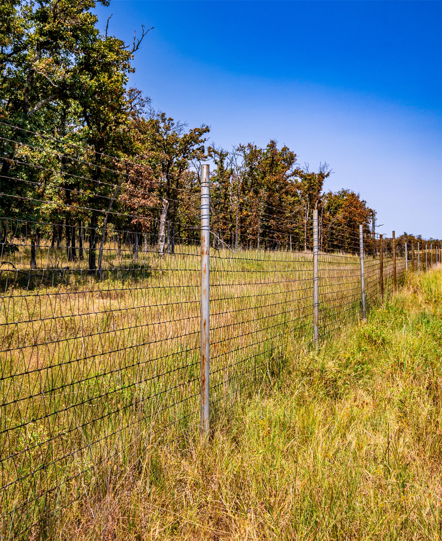 County Road Property Photo 50