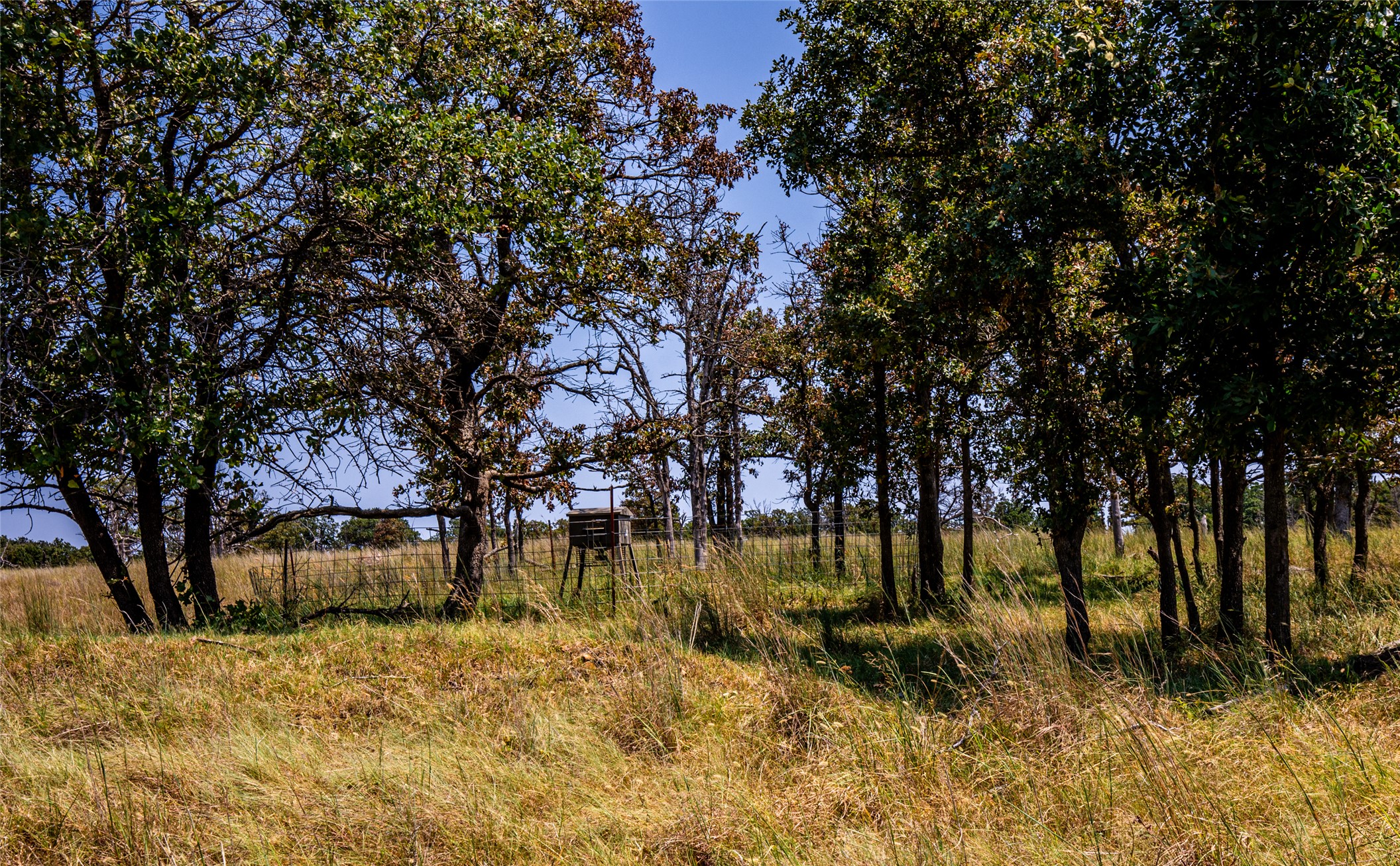 County Road Property Photo 62