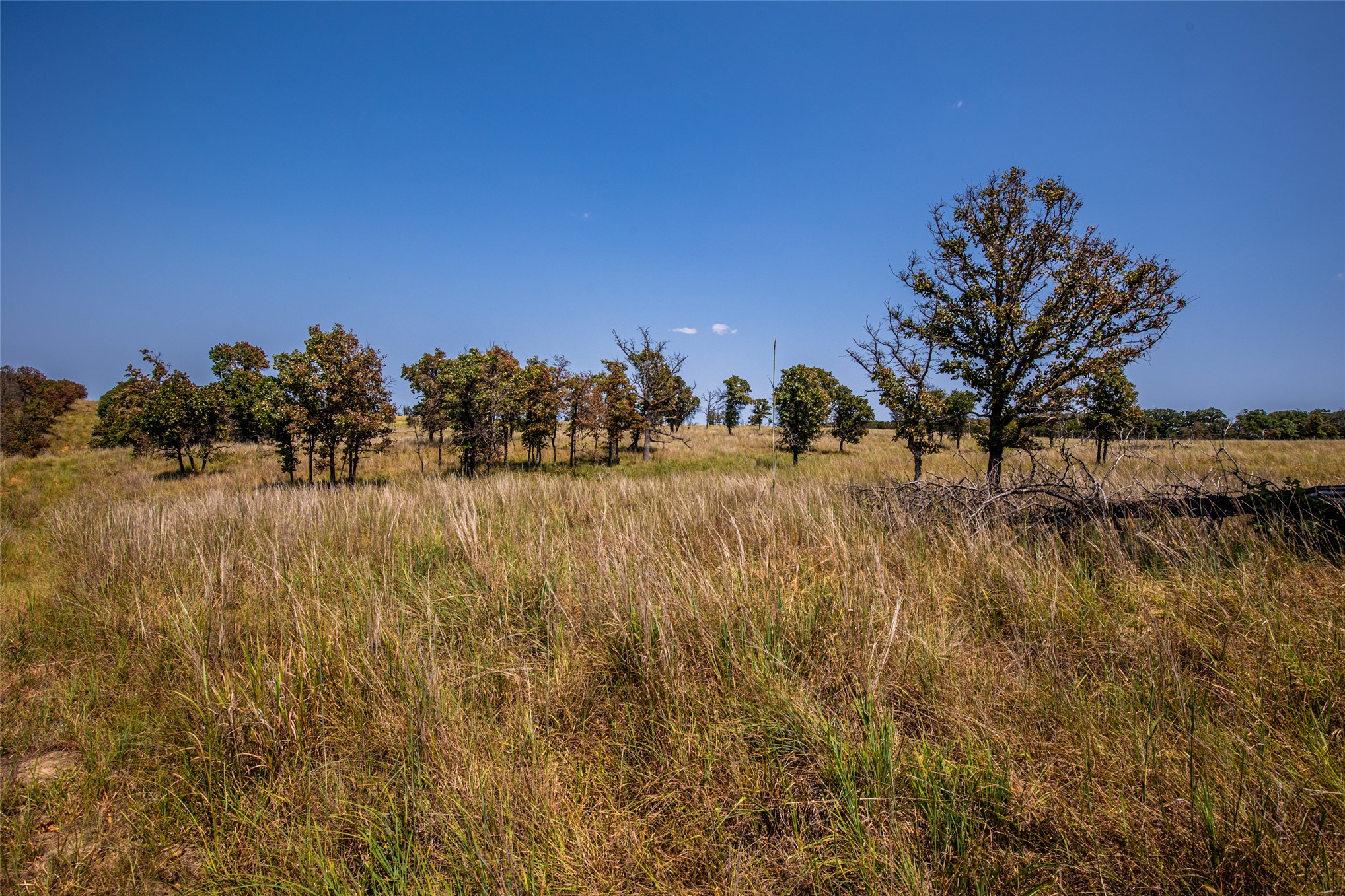 County Road Property Photo 65