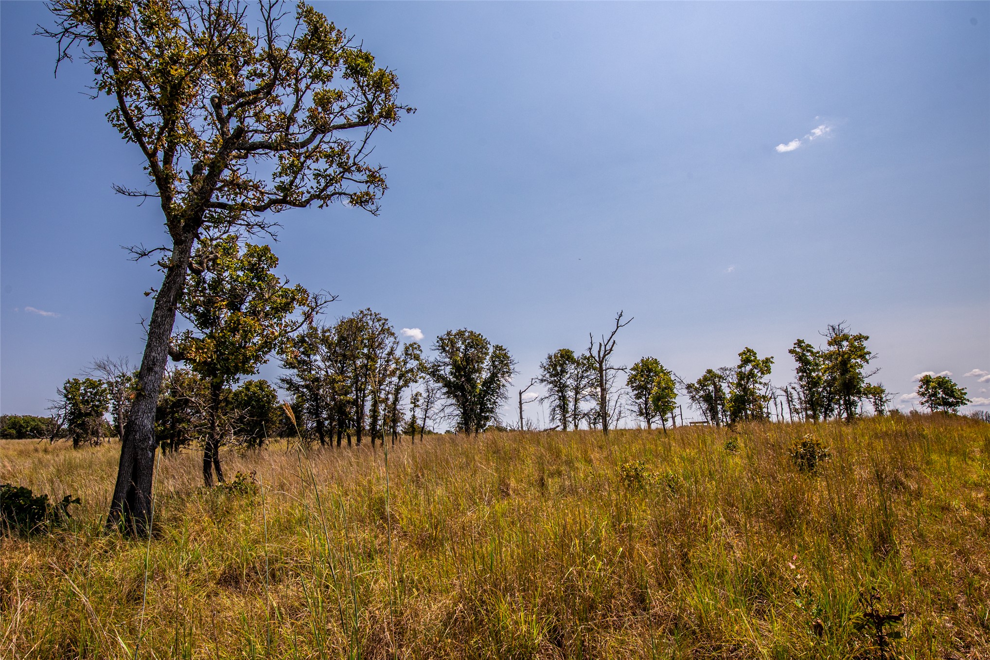 County Road Property Photo 66