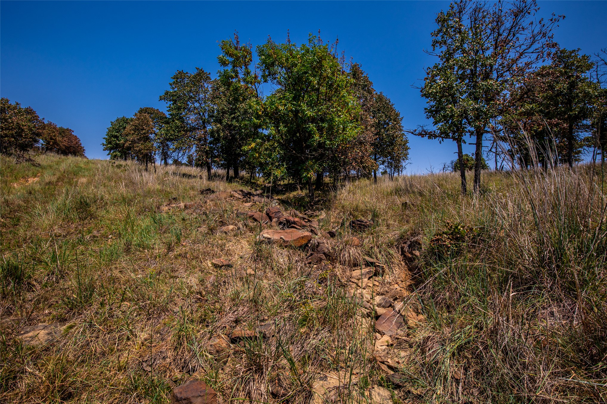 County Road Property Photo 67
