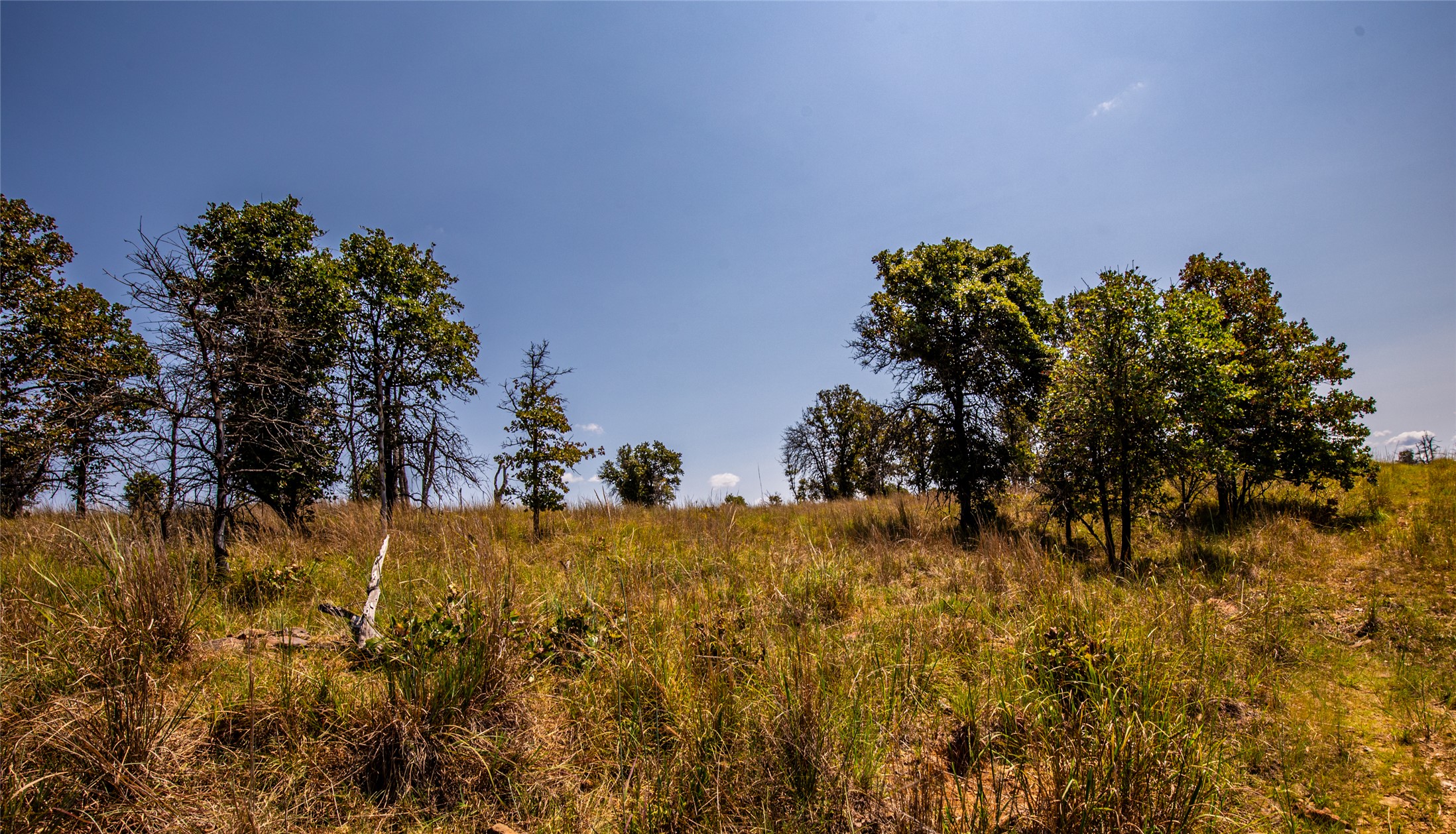 County Road Property Photo 68