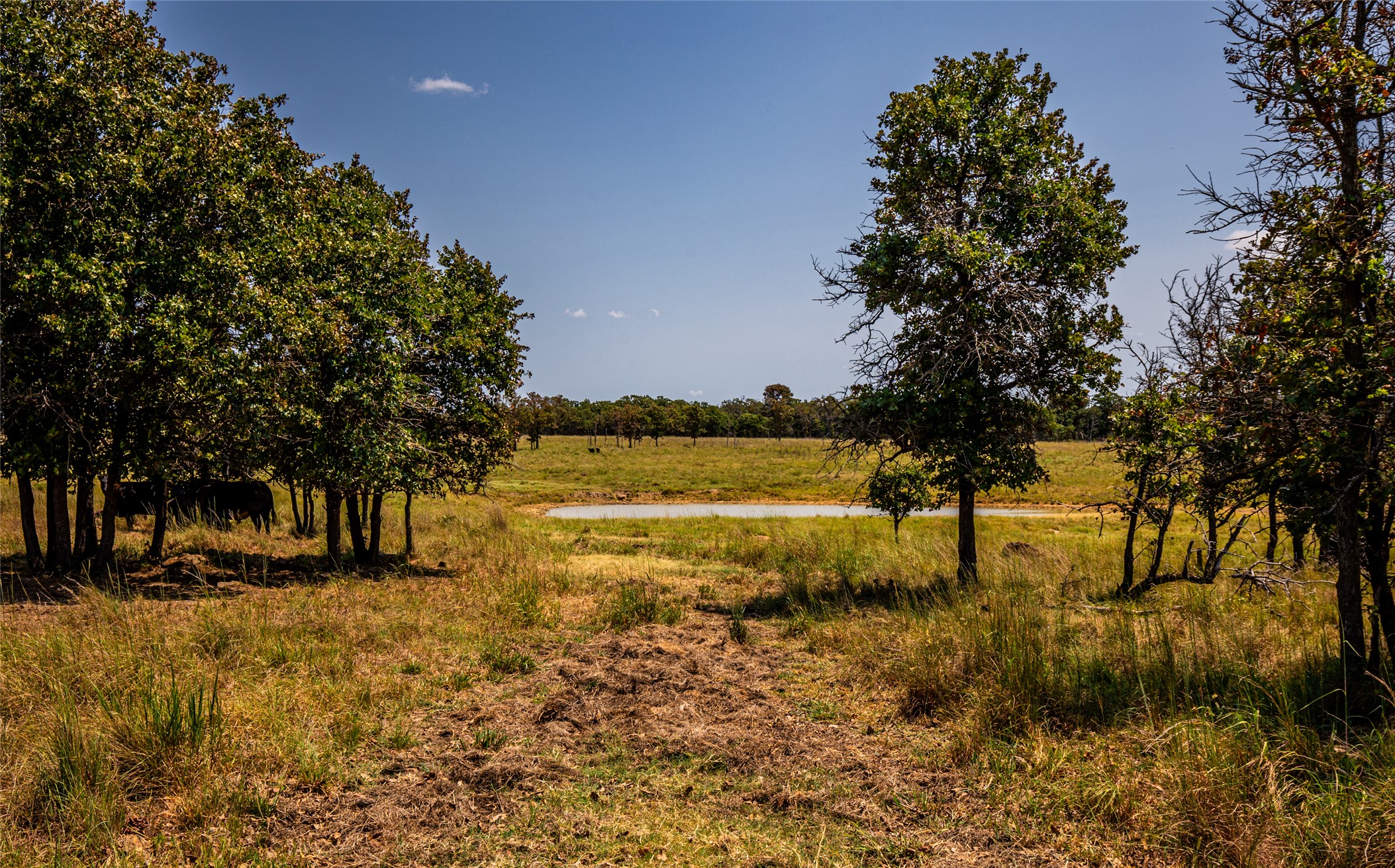 County Road Property Photo 69