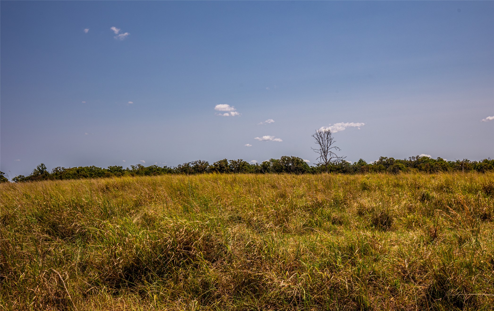 County Road Property Photo 74