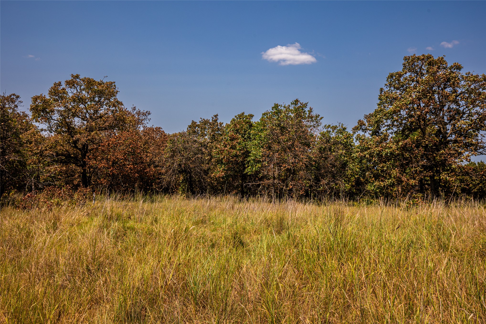 County Road Property Photo 80