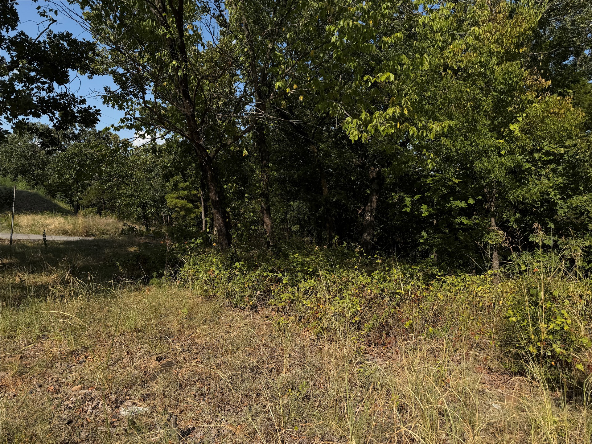Mission Drive Property Photo 4