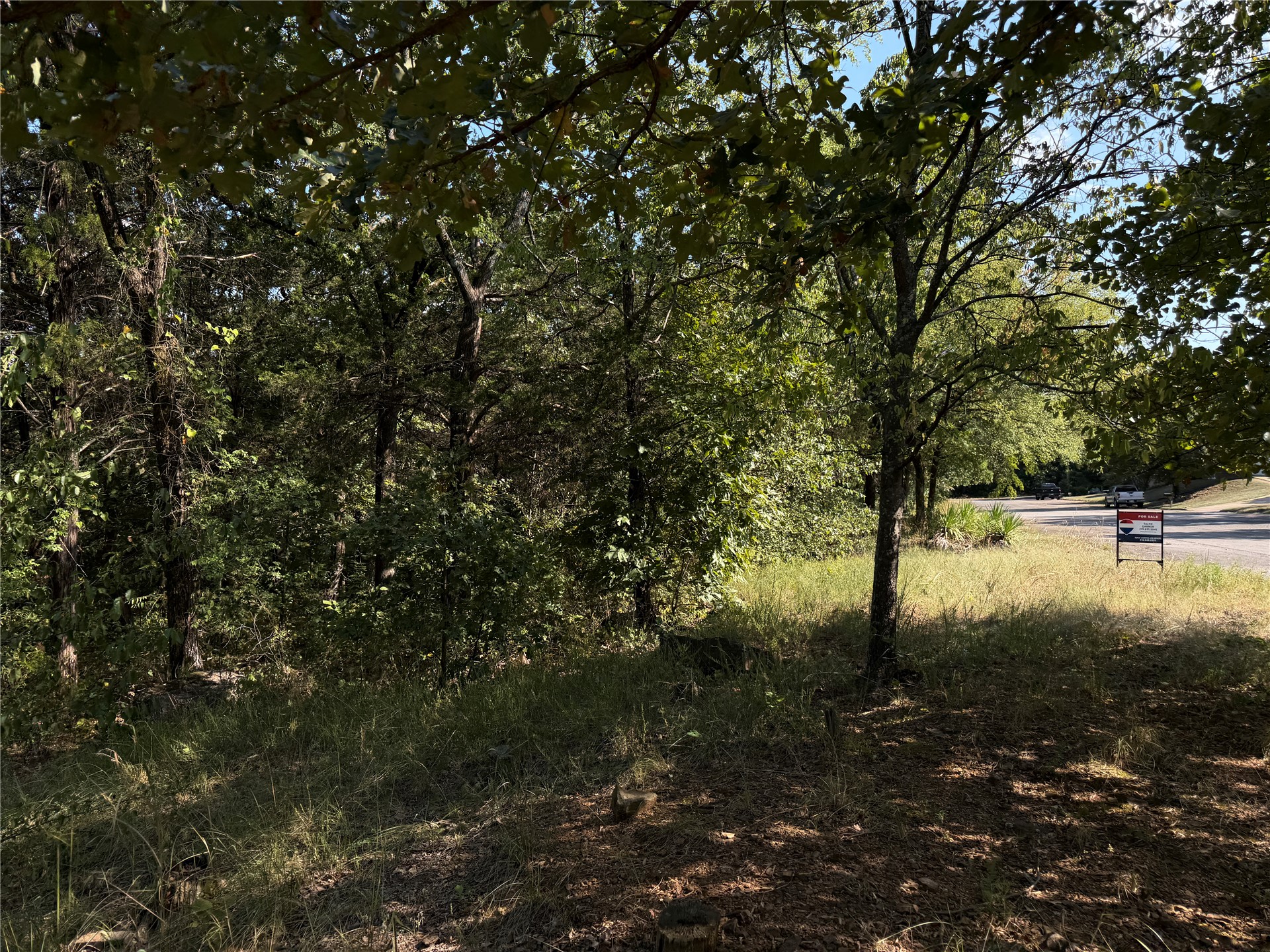 Mission Drive Property Photo 6