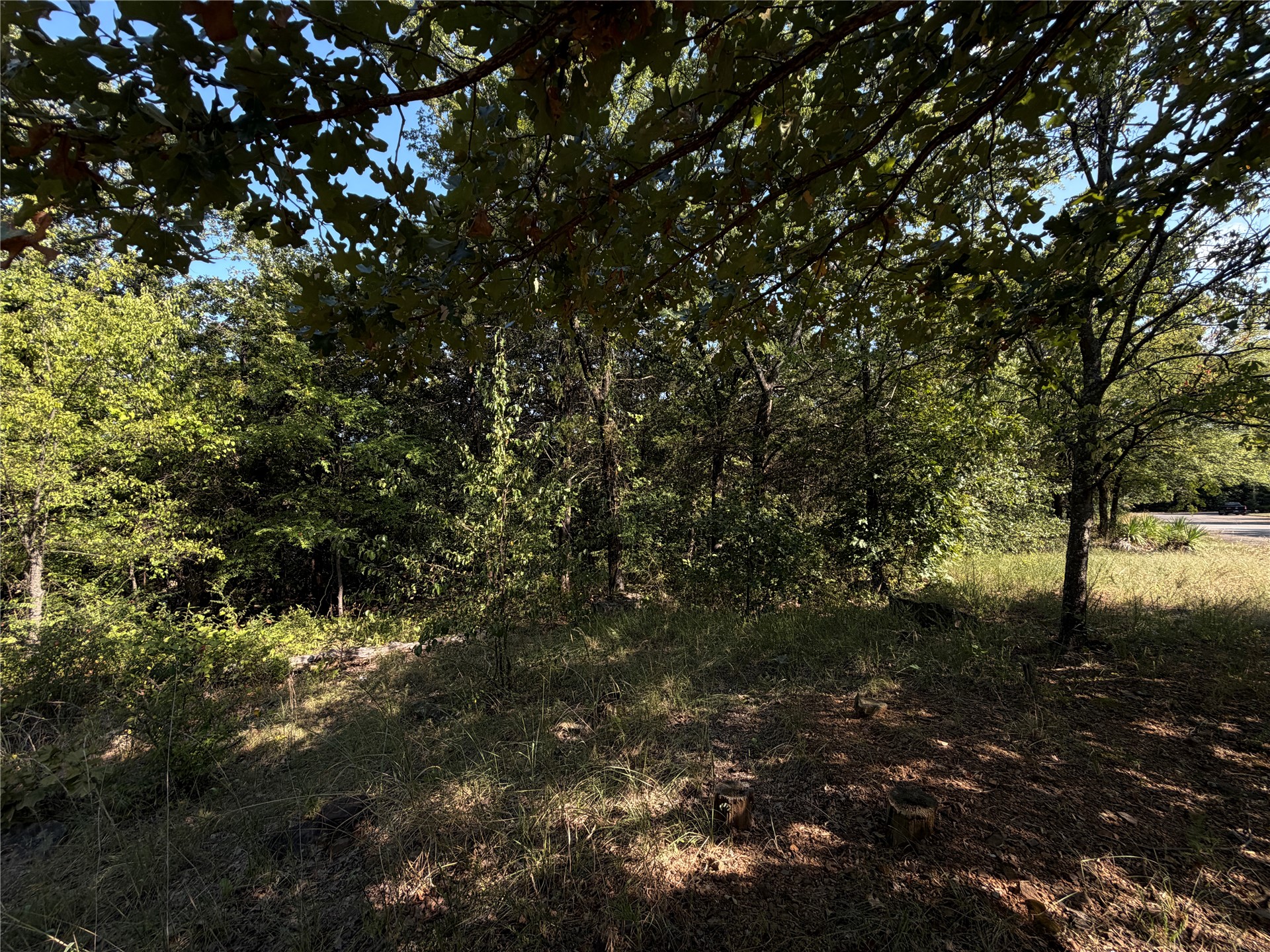 Mission Drive Property Photo 7