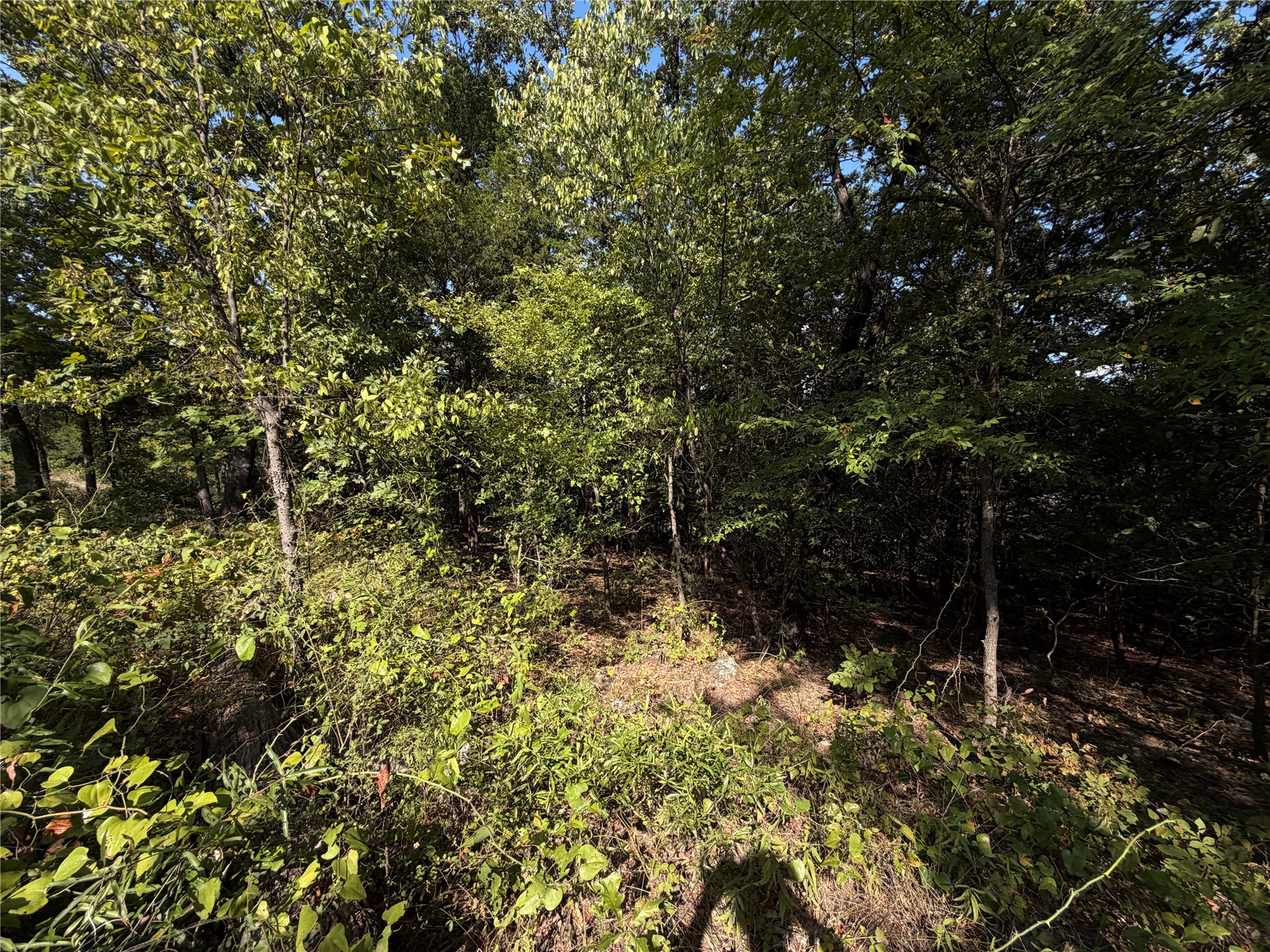Mission Drive Property Photo 8