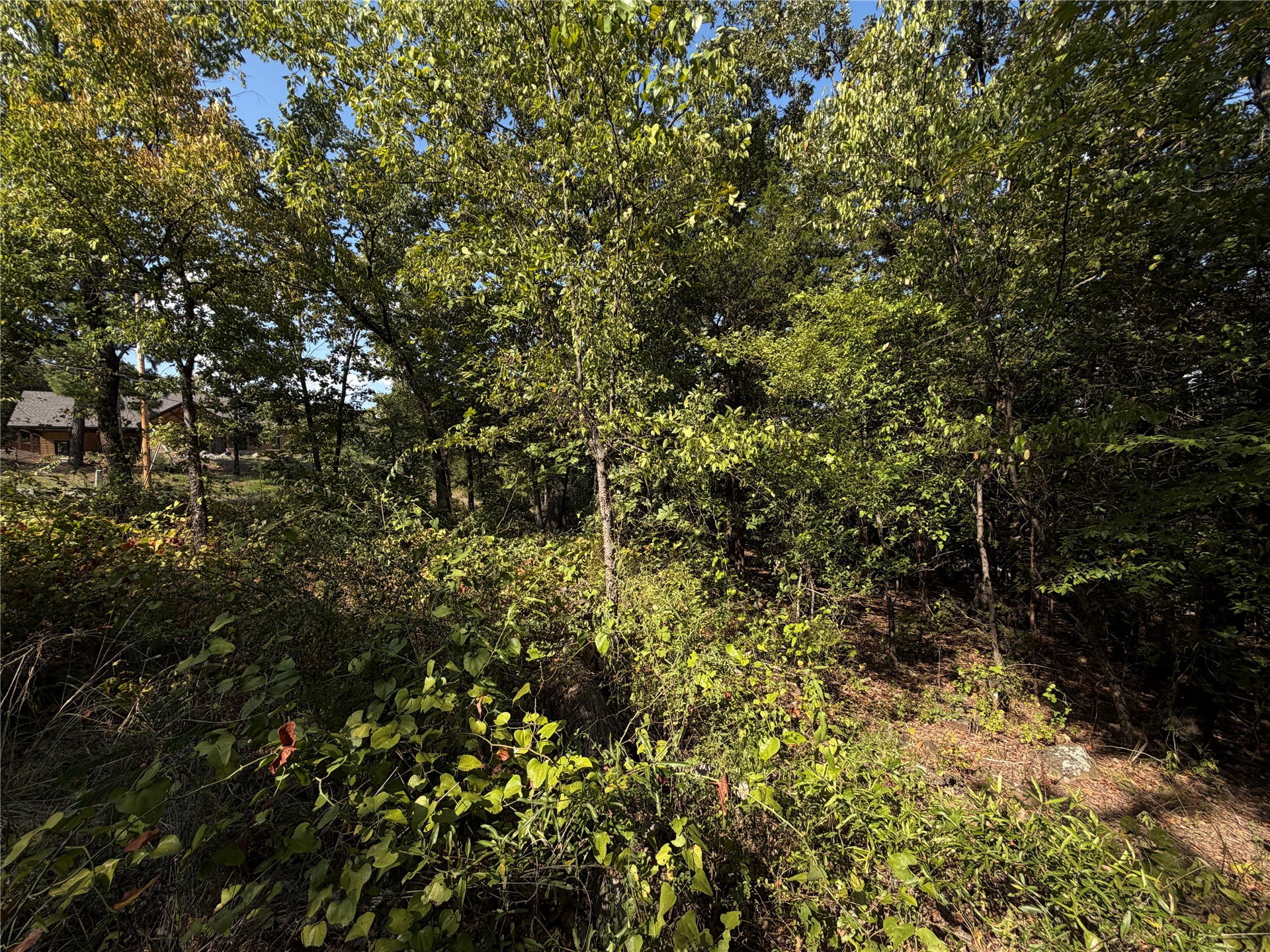 Mission Drive Property Photo 9