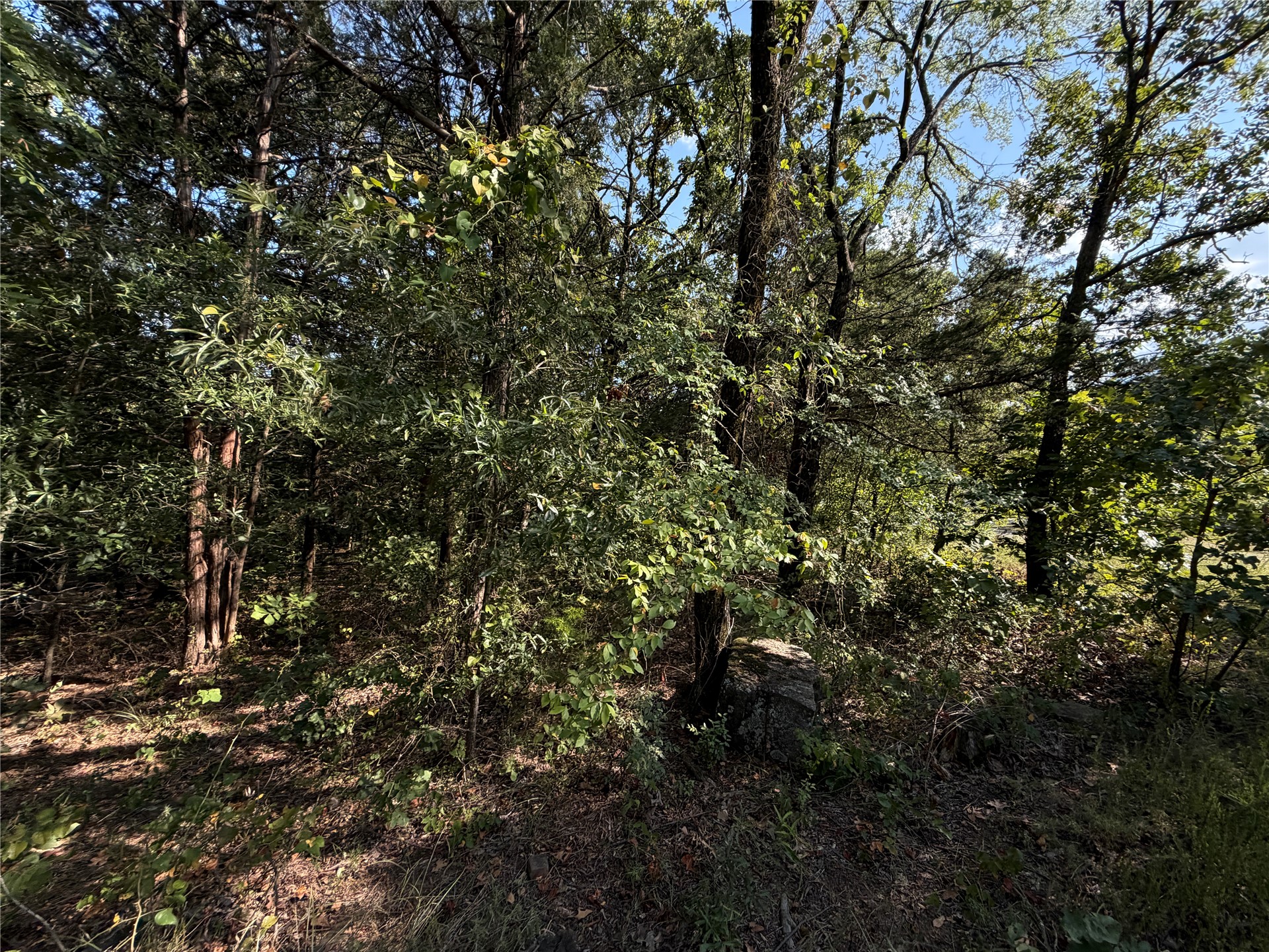 Mission Drive Property Photo 10