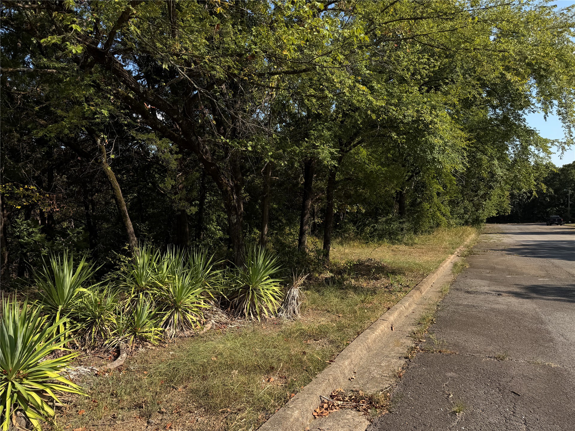 Mission Drive Property Photo 12