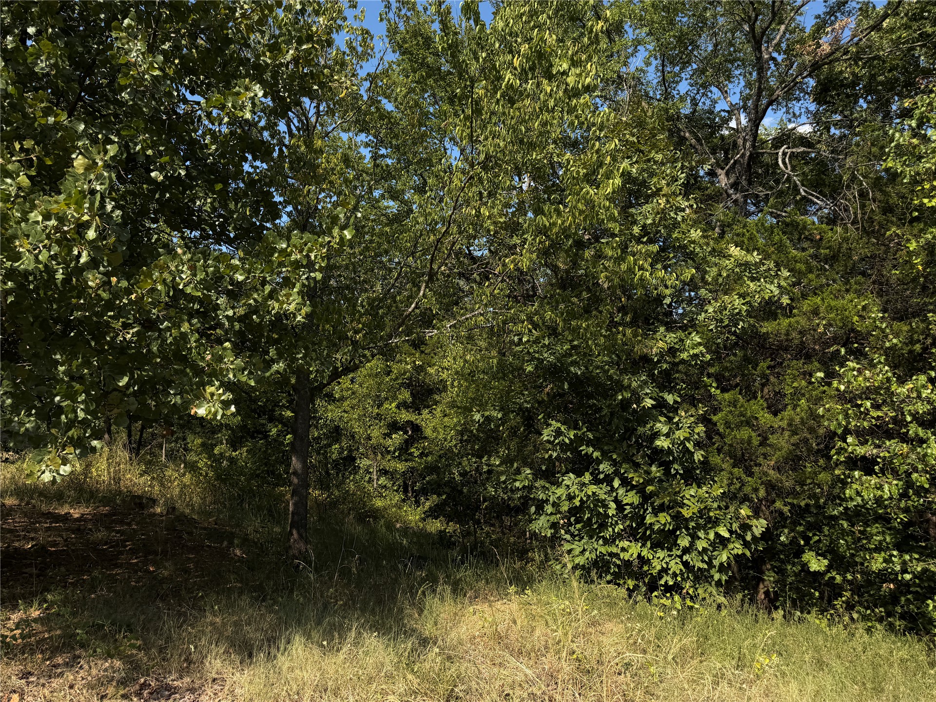 Mission Drive Property Photo 13