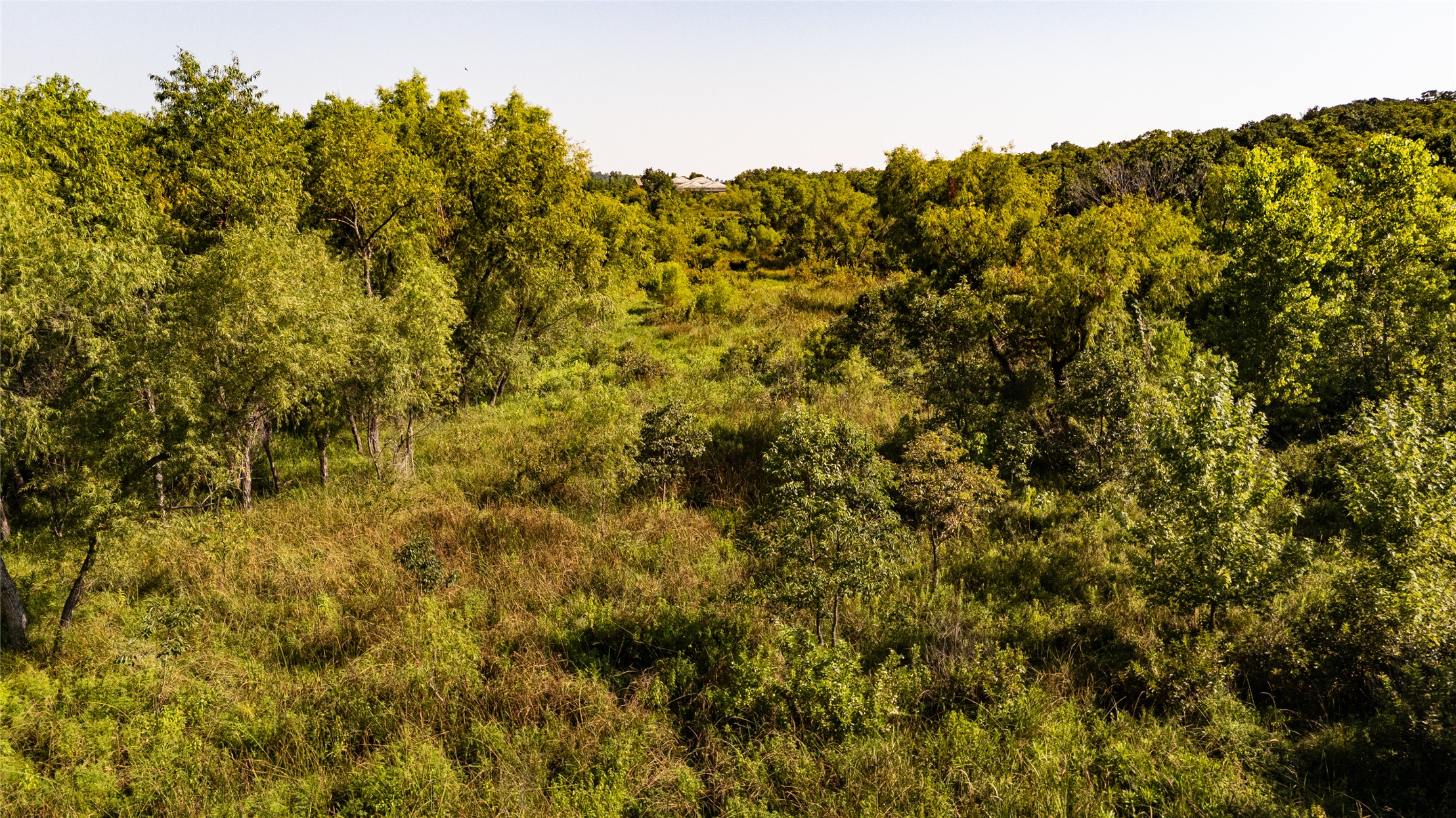 2629989 Property Photo 2