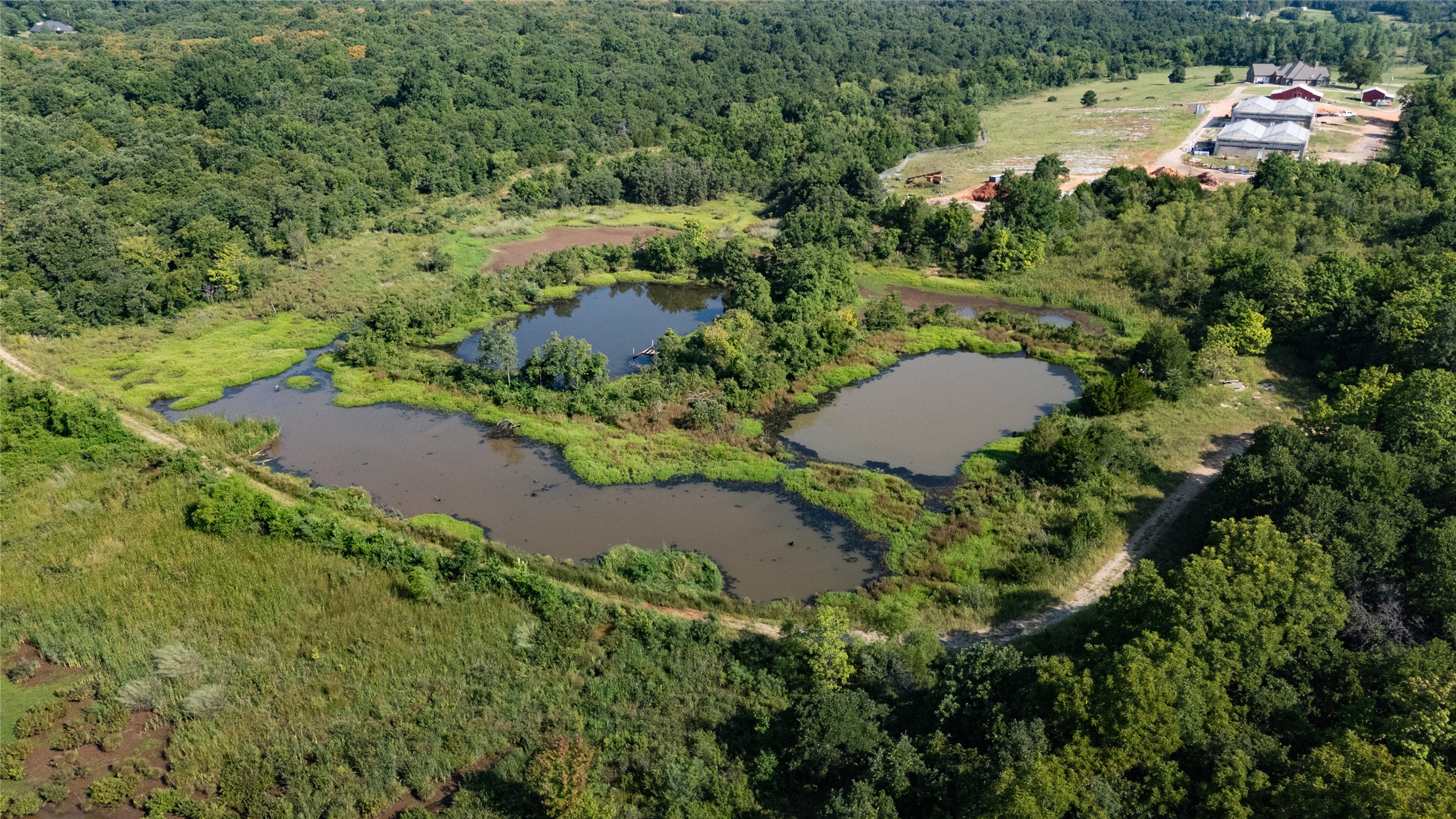 2629989 Property Photo 14