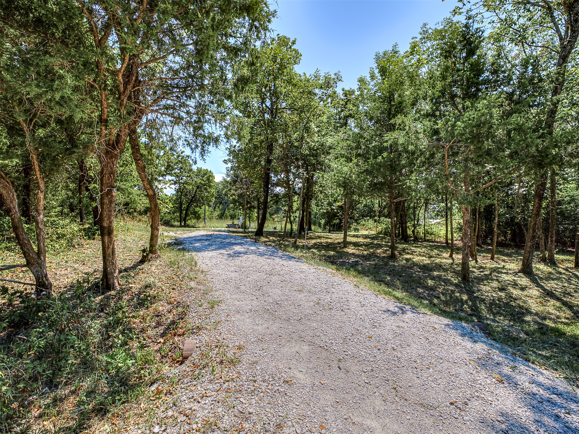 223 Covered Wagon Pass Property Photo 2