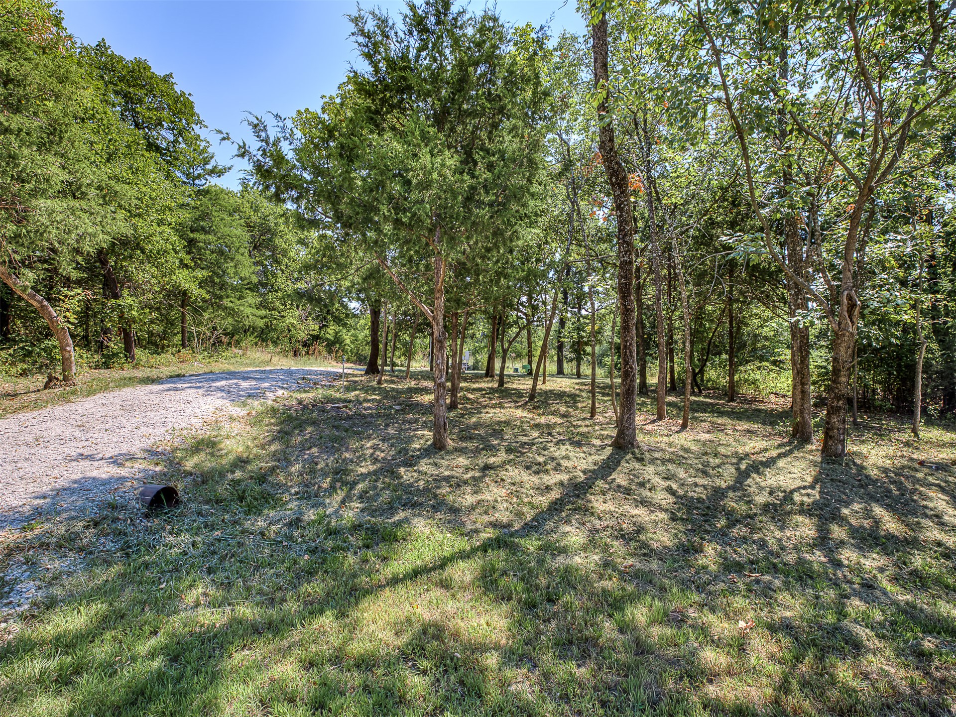 223 Covered Wagon Pass Property Photo 3