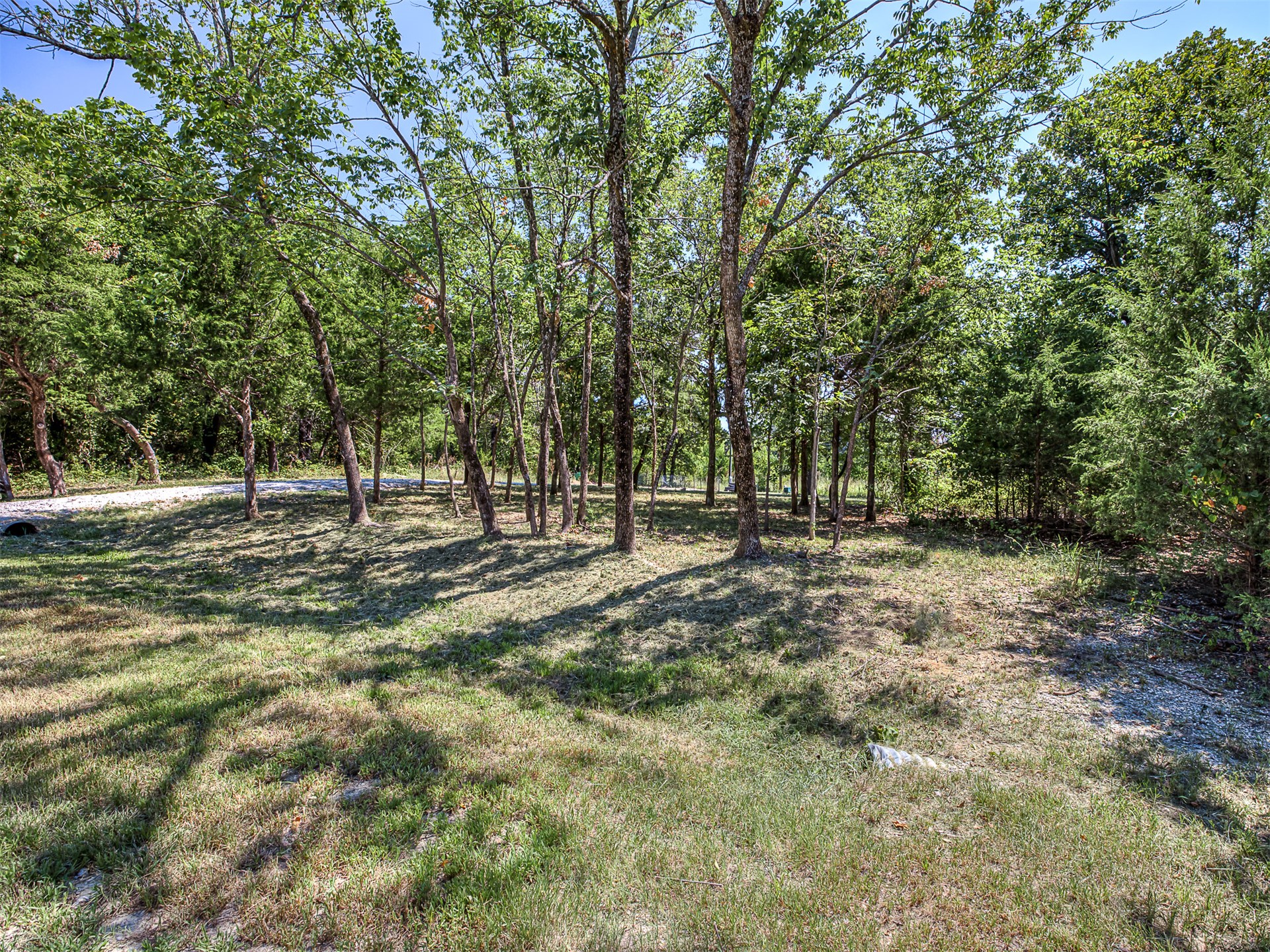 223 Covered Wagon Pass Property Photo 4