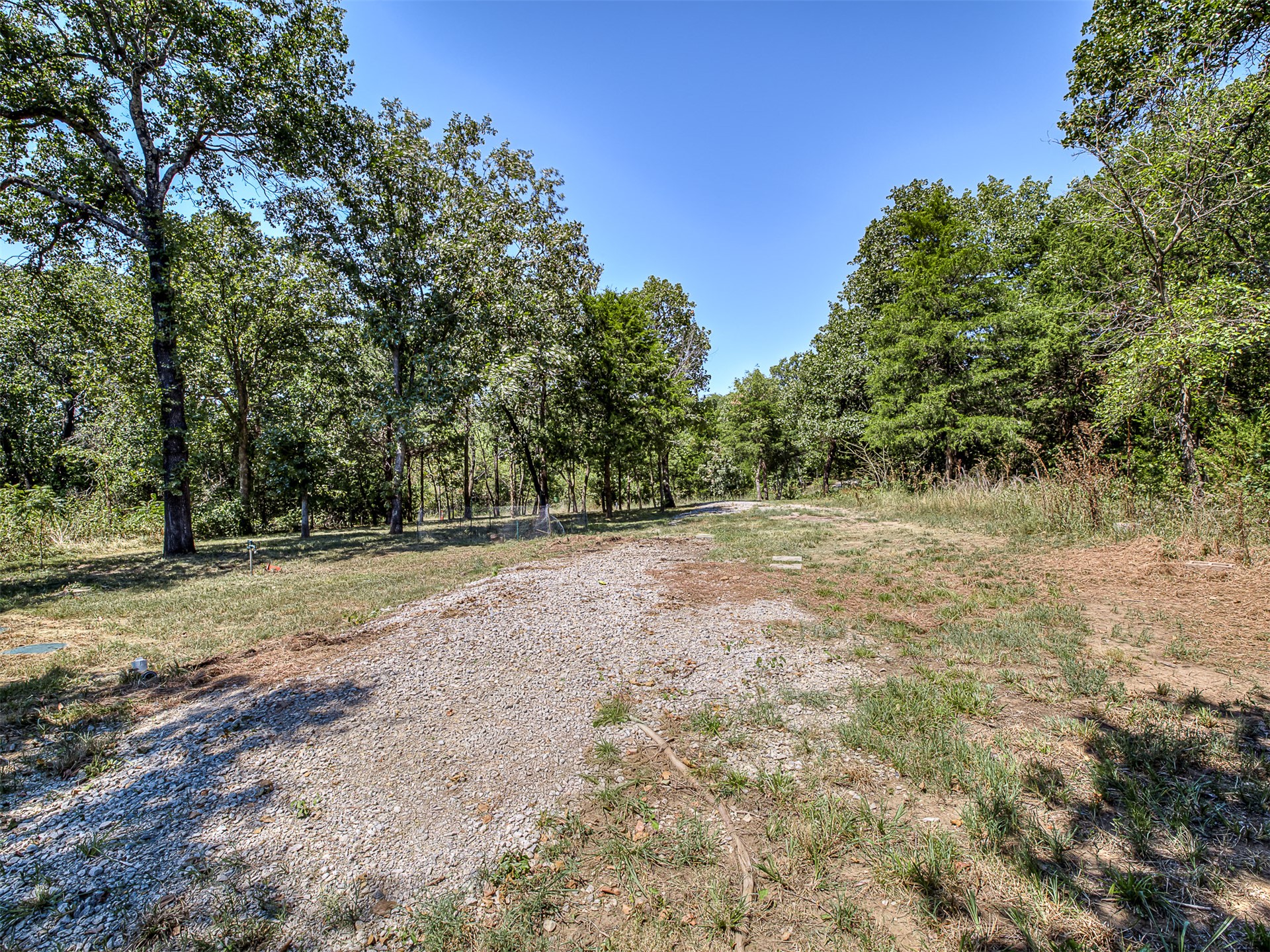 223 Covered Wagon Pass Property Photo 5