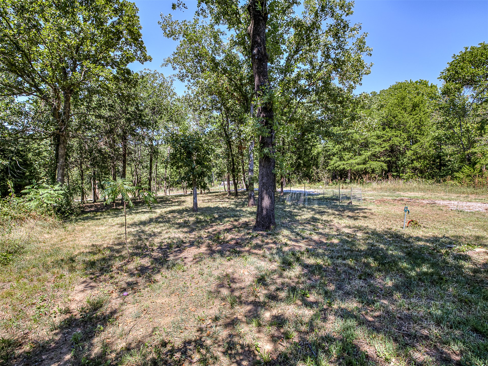 223 Covered Wagon Pass Property Photo 6