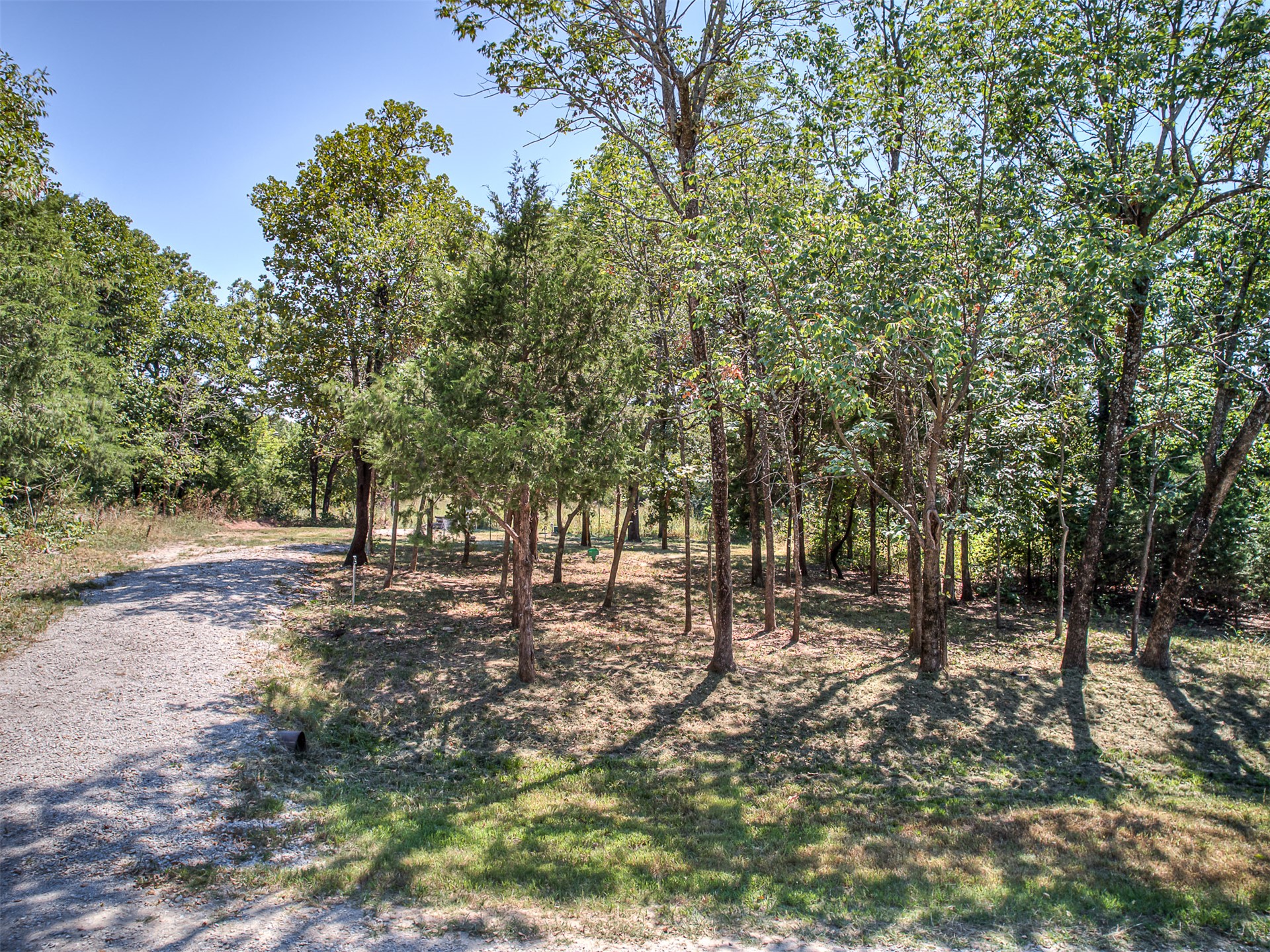 223 Covered Wagon Pass Property Photo 10