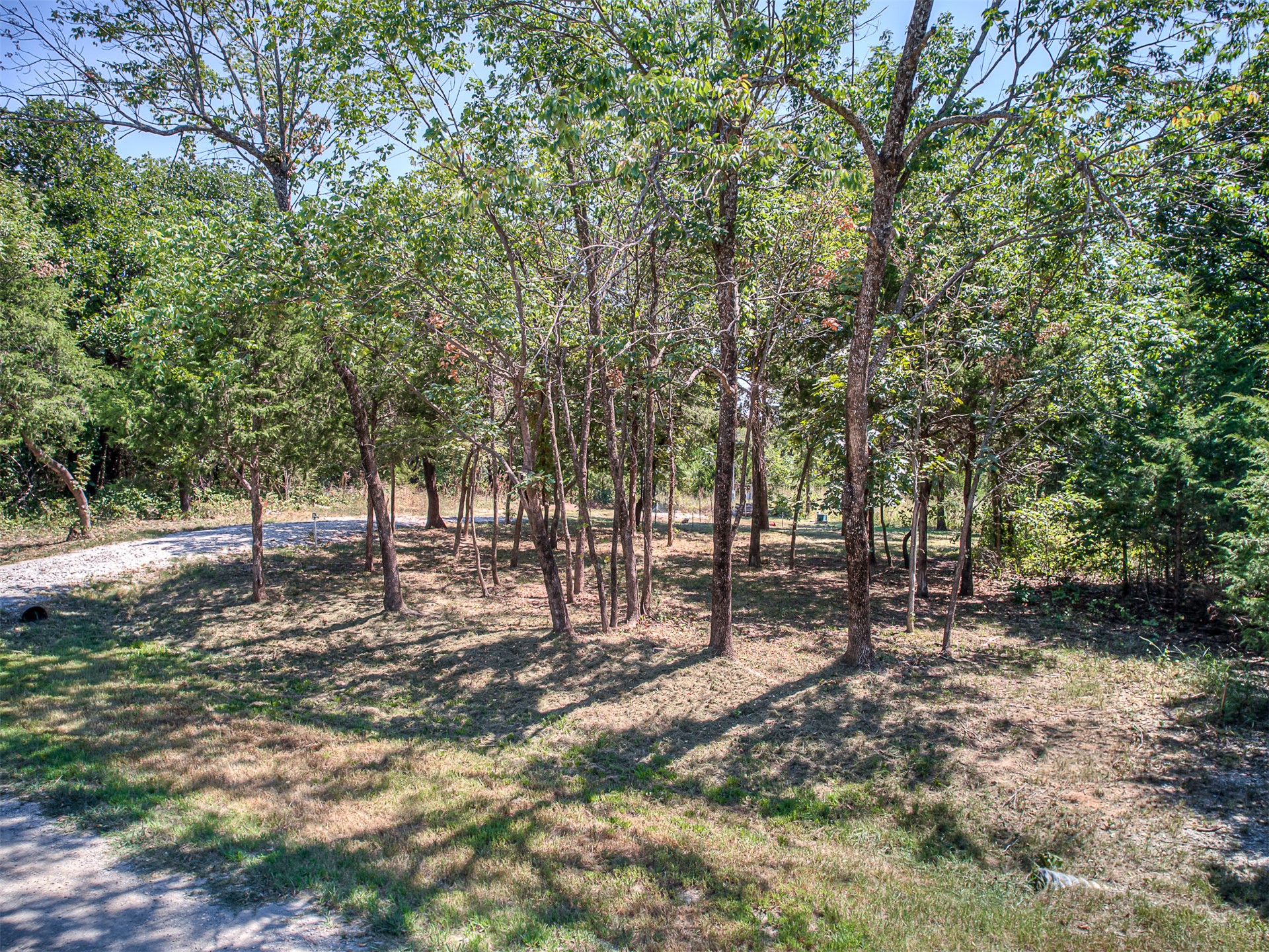 223 Covered Wagon Pass Property Photo 11