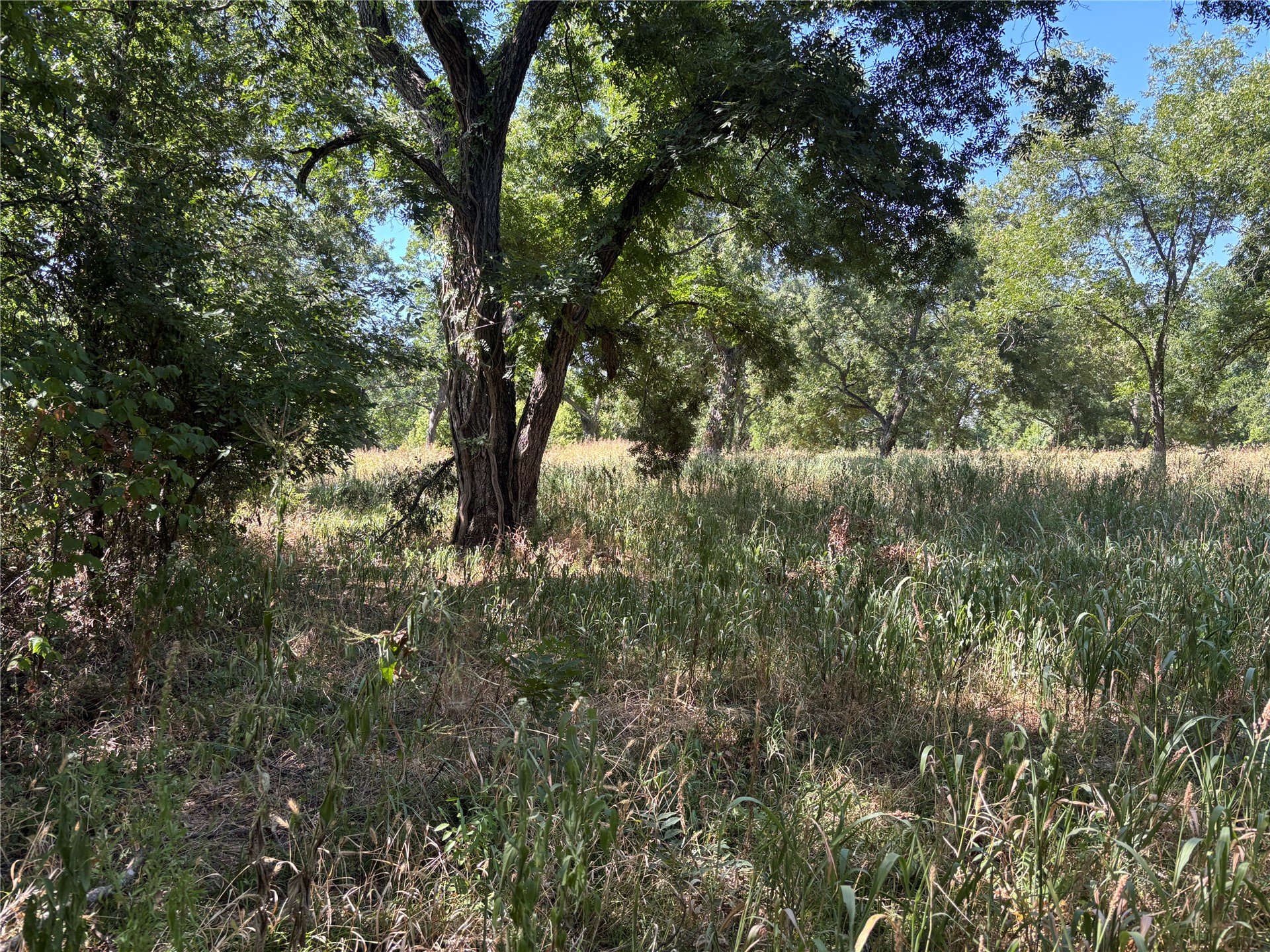 11940 State Highway 76 Property Photo 2