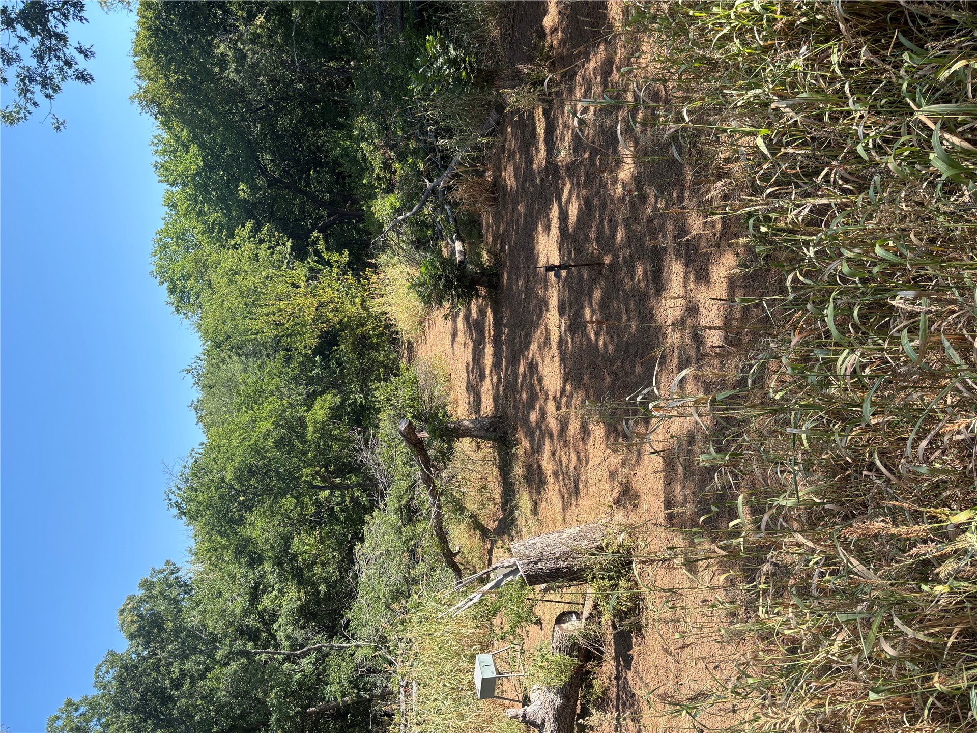 11940 State Highway 76 Property Photo 6