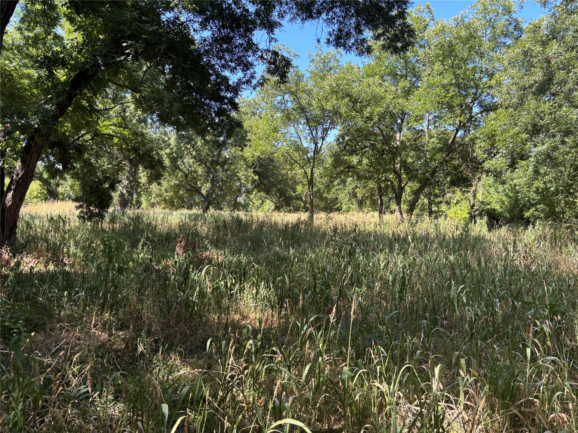 11940 State Highway 76 Property Photo 10