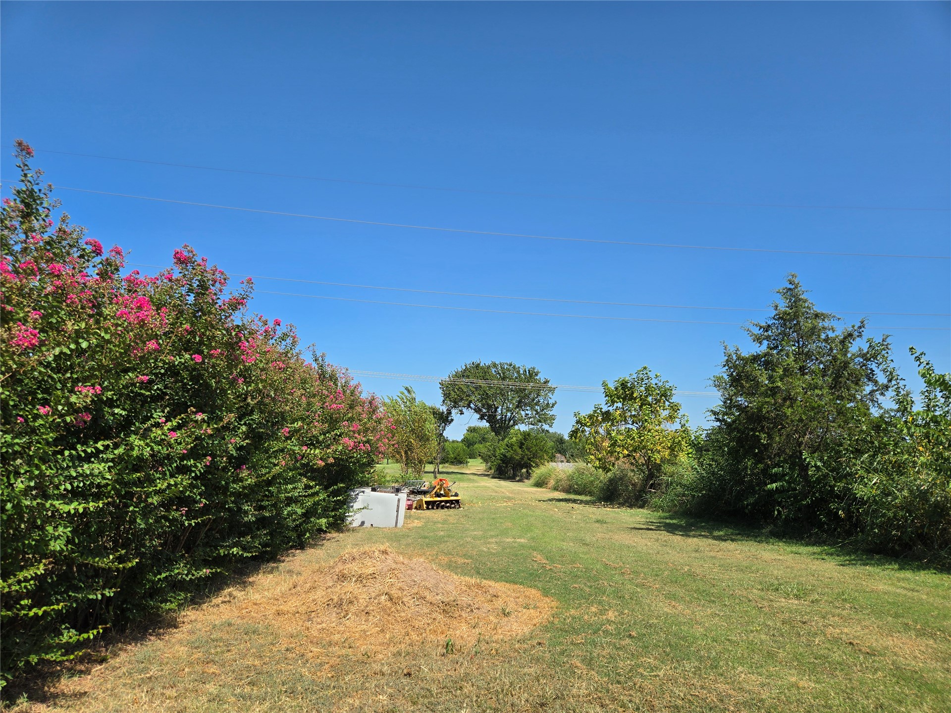 1407 S Cedar Street Property Photo 49