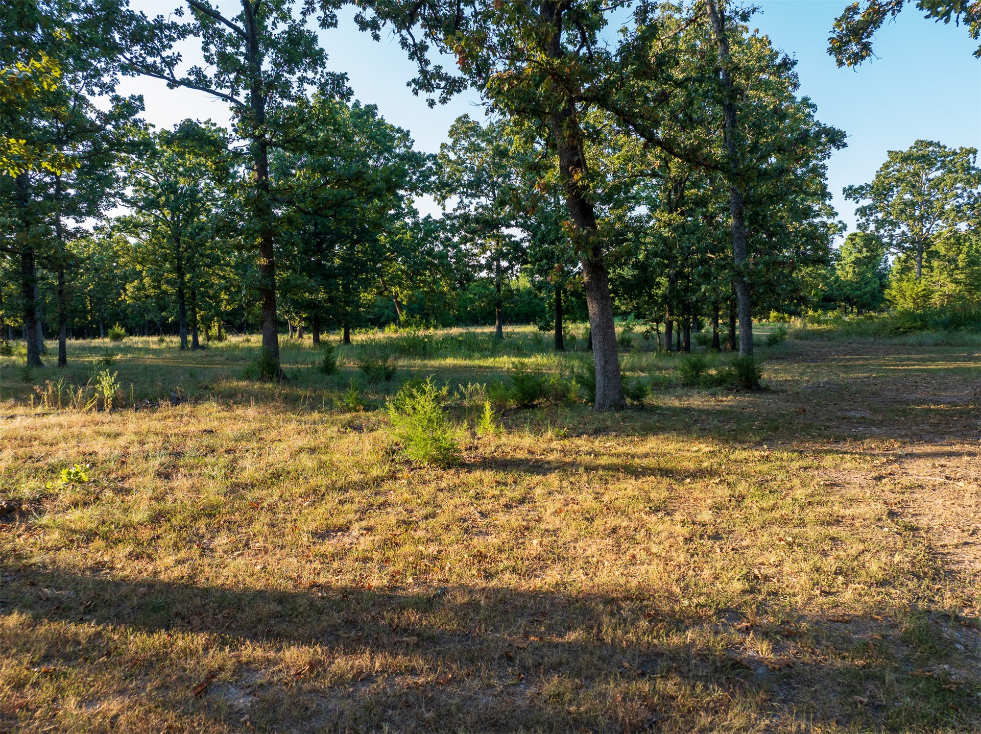 3 N 4450 Road Property Photo 10
