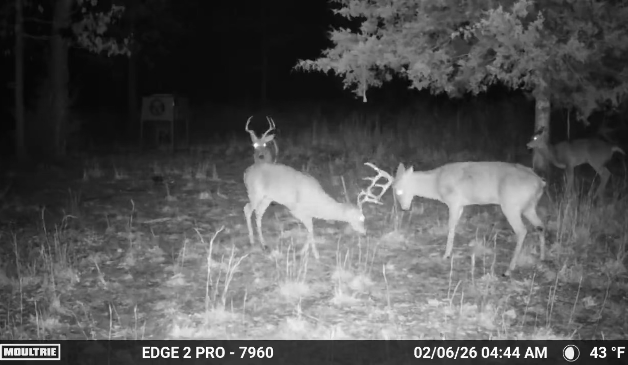 3 N 4450 Road Property Photo 37