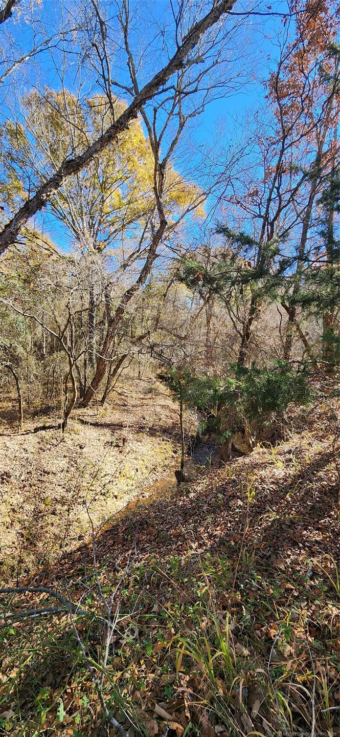 S Skylark Road Property Photo 10