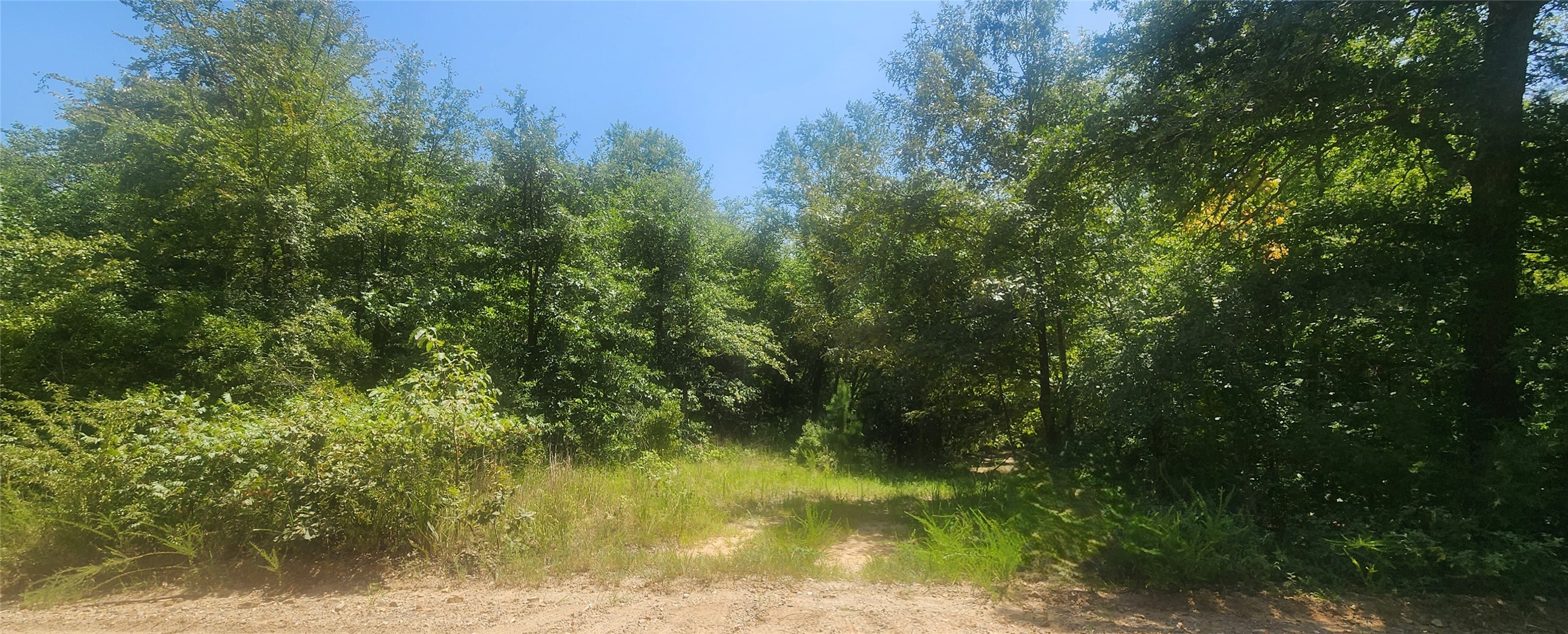 S Skylark Road Property Photo 16