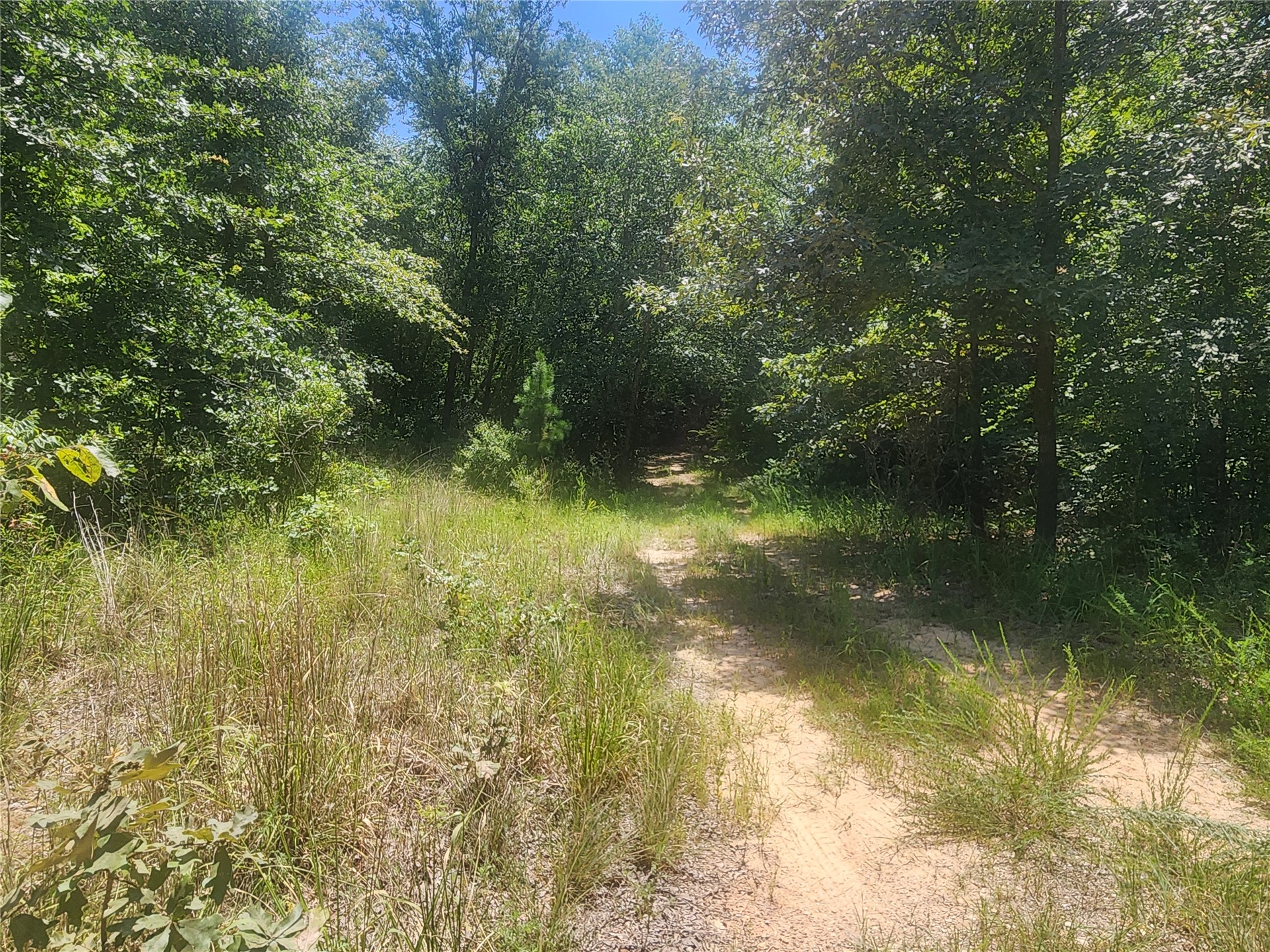 S Skylark Road Property Photo 17