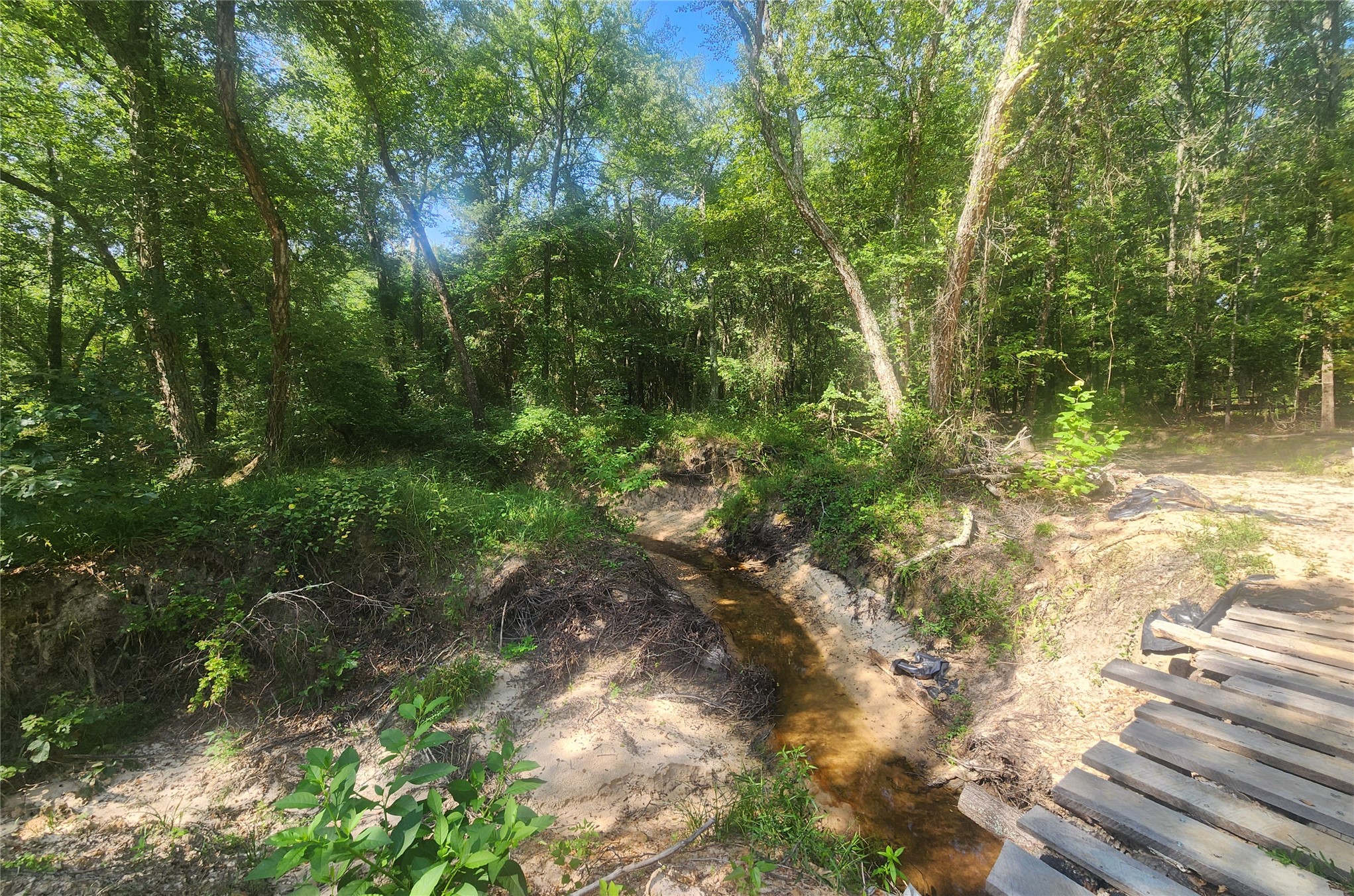 S Skylark Road Property Photo 19