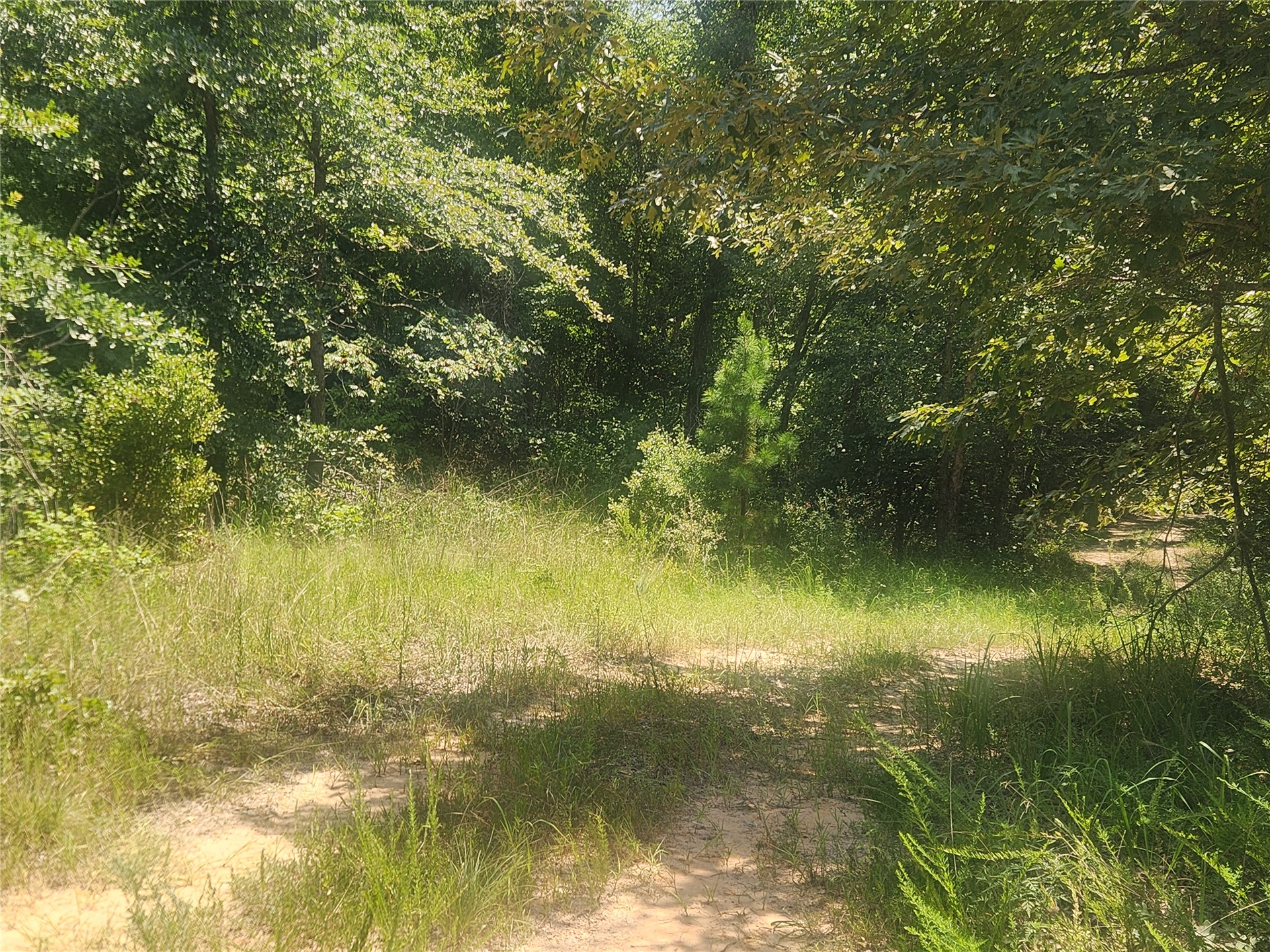 S Skylark Road Property Photo 22