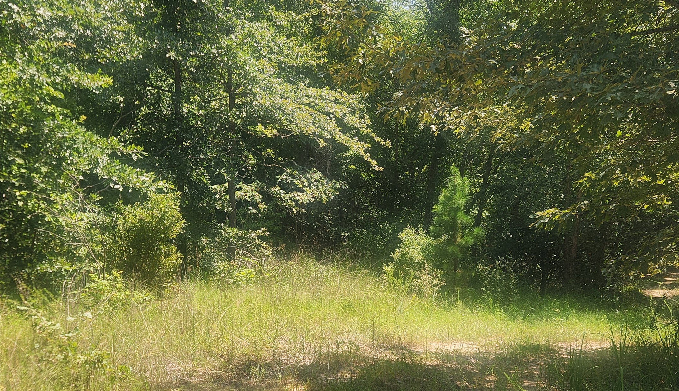 S Skylark Road Property Photo 23