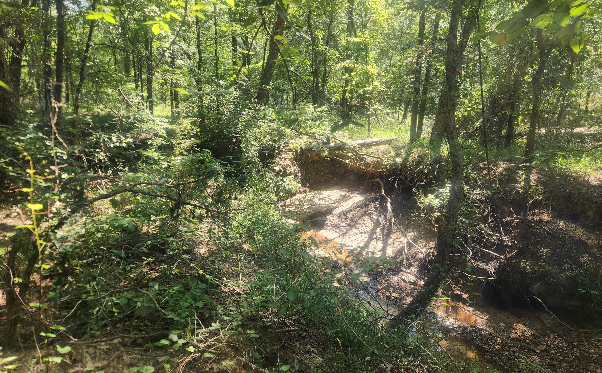 S Skylark Road Property Photo 34