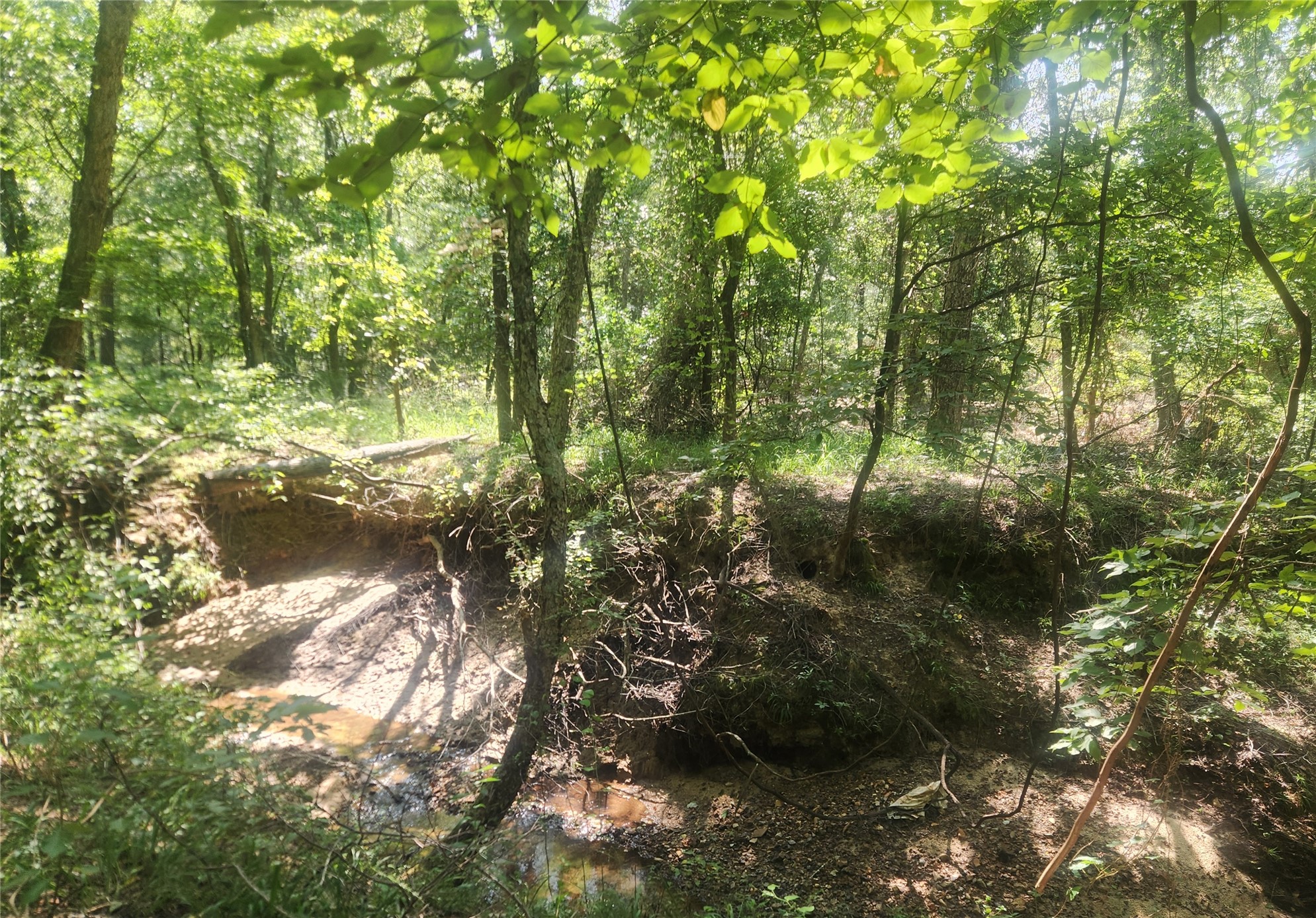 S Skylark Road Property Photo 35