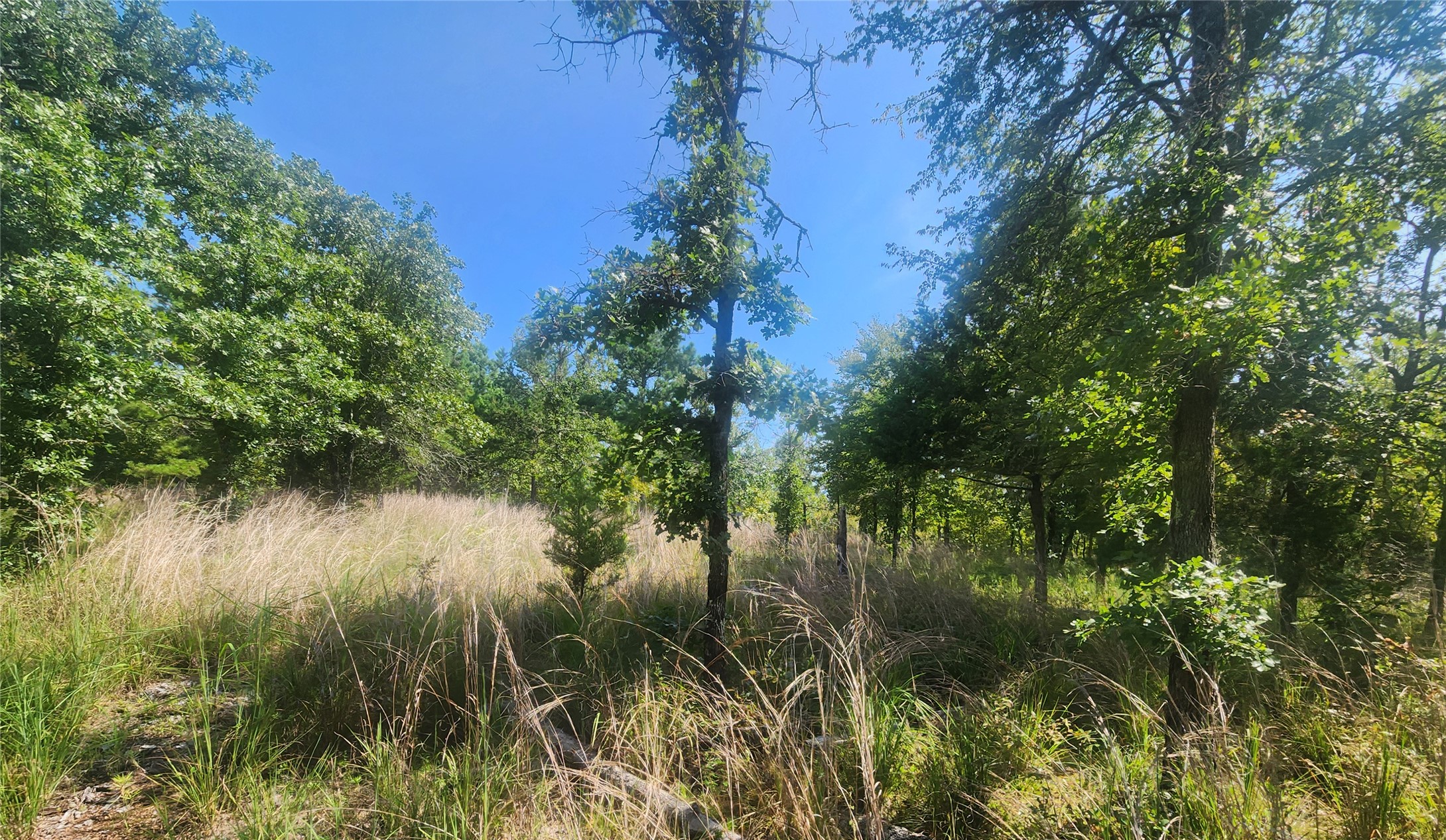 S Skylark Road Property Photo 38