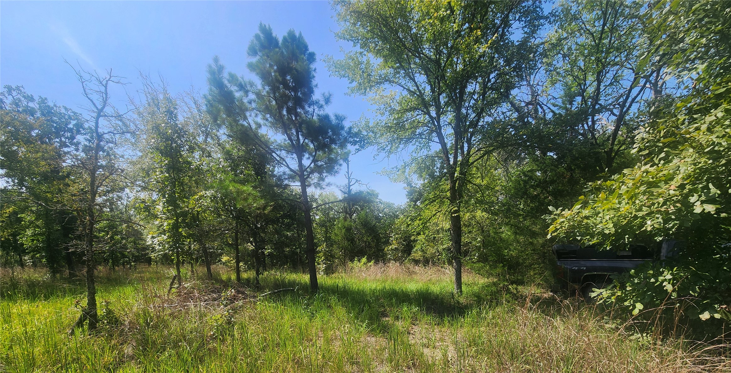 S Skylark Road Property Photo 39