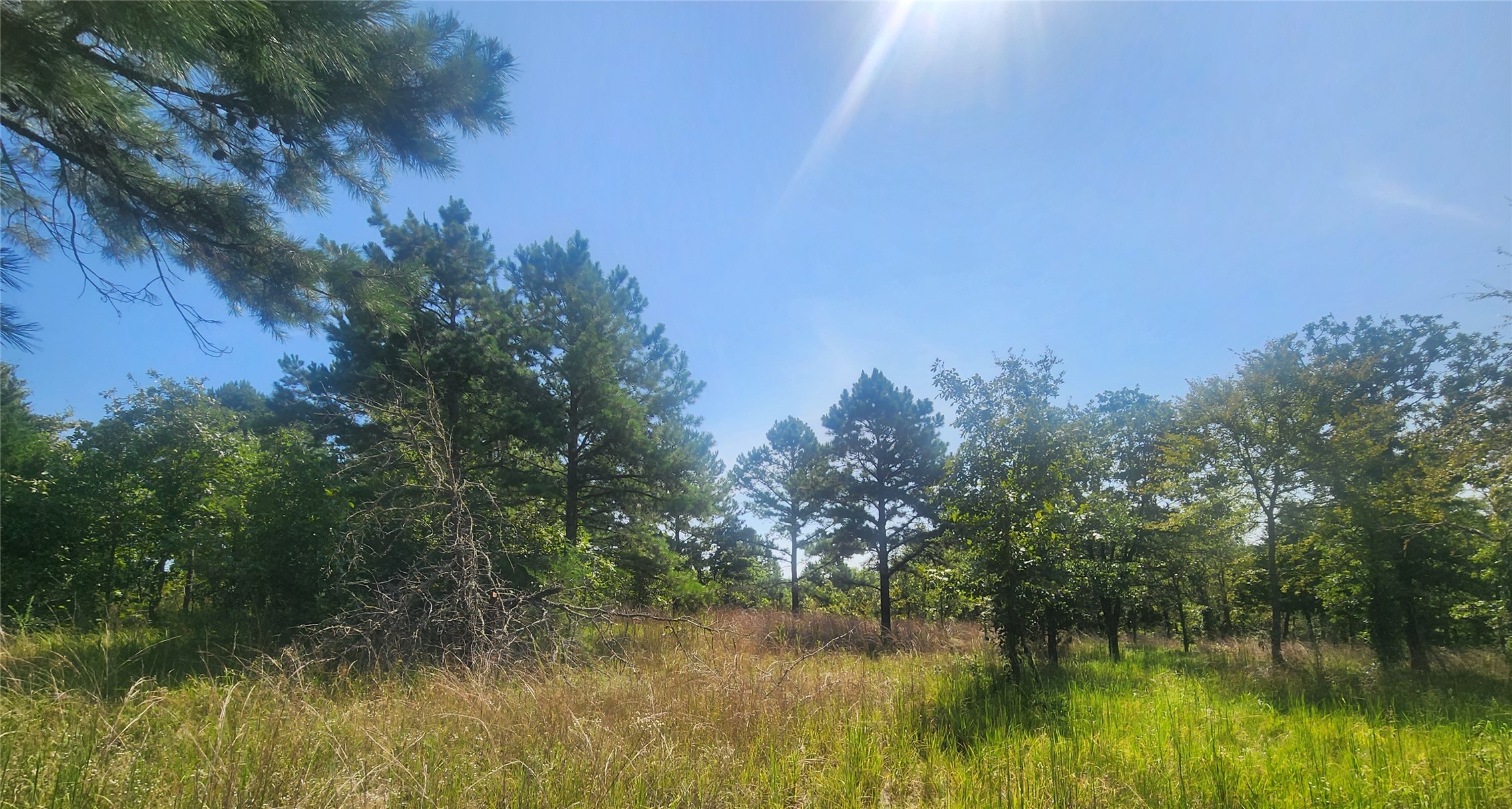 S Skylark Road Property Photo 40