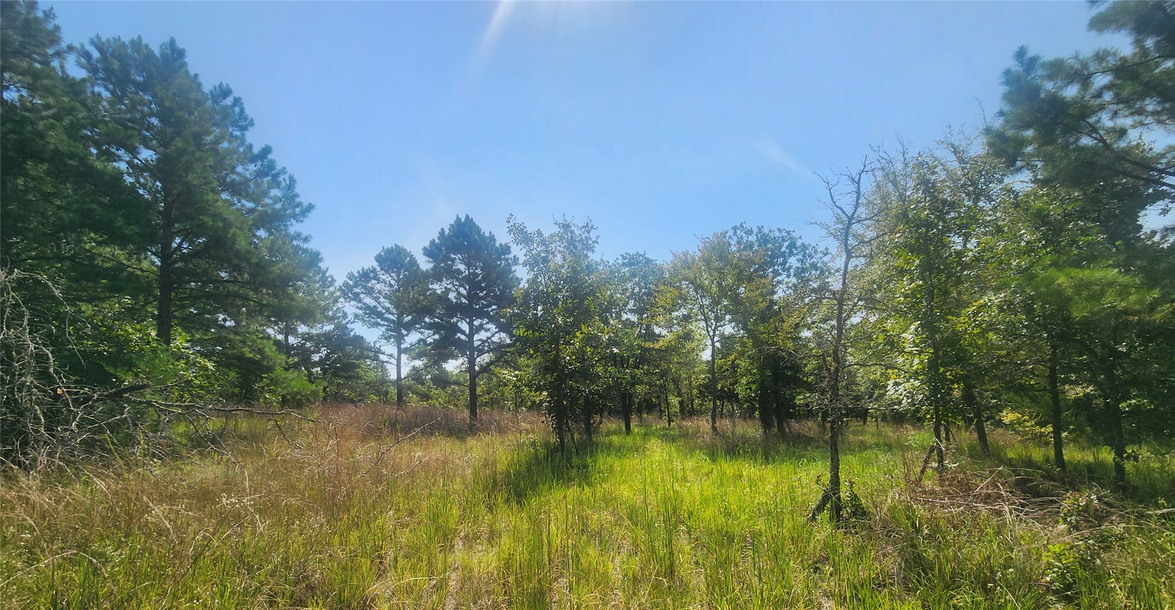 S Skylark Road Property Photo 41