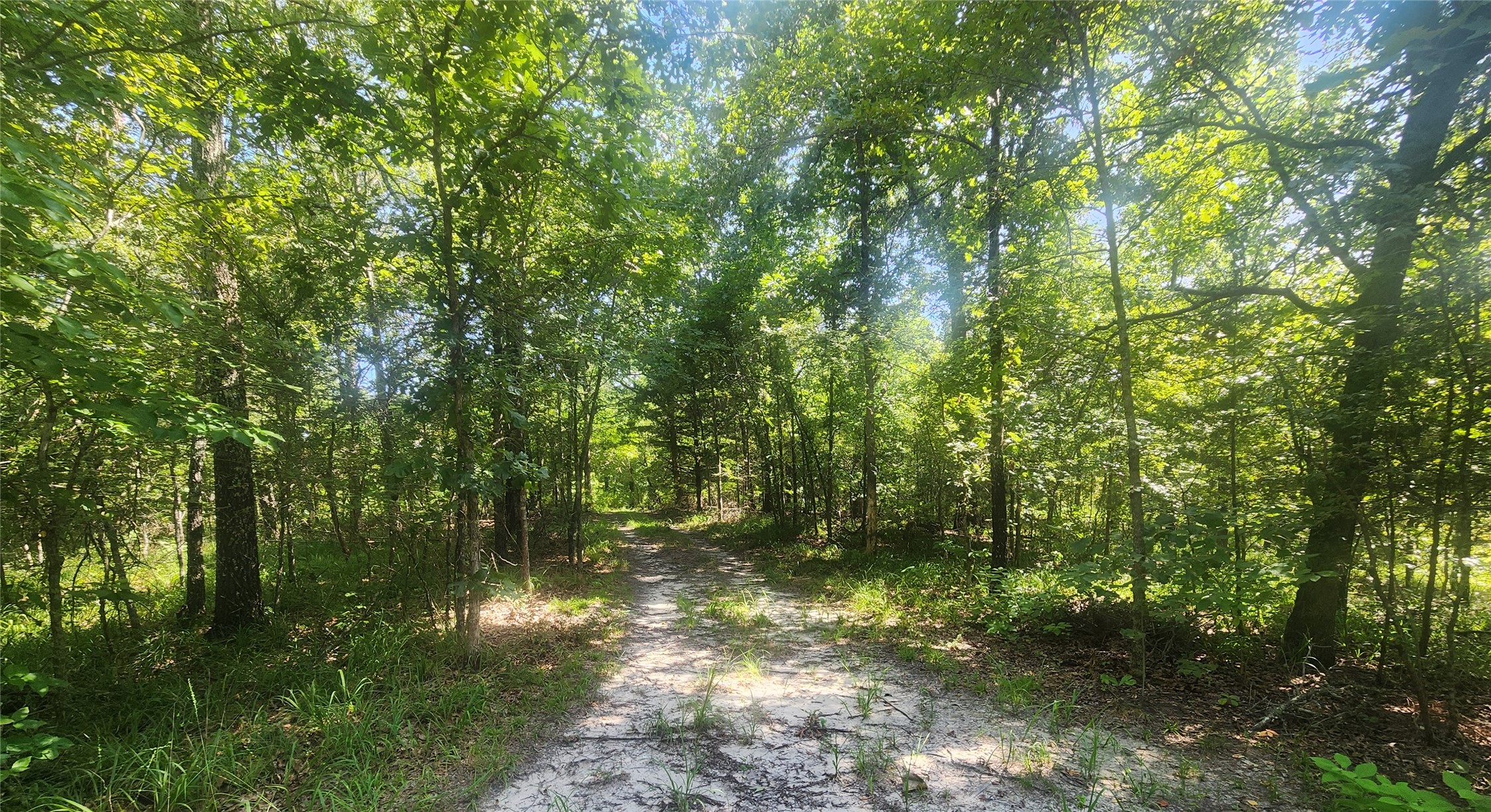 S Skylark Road Property Photo 49