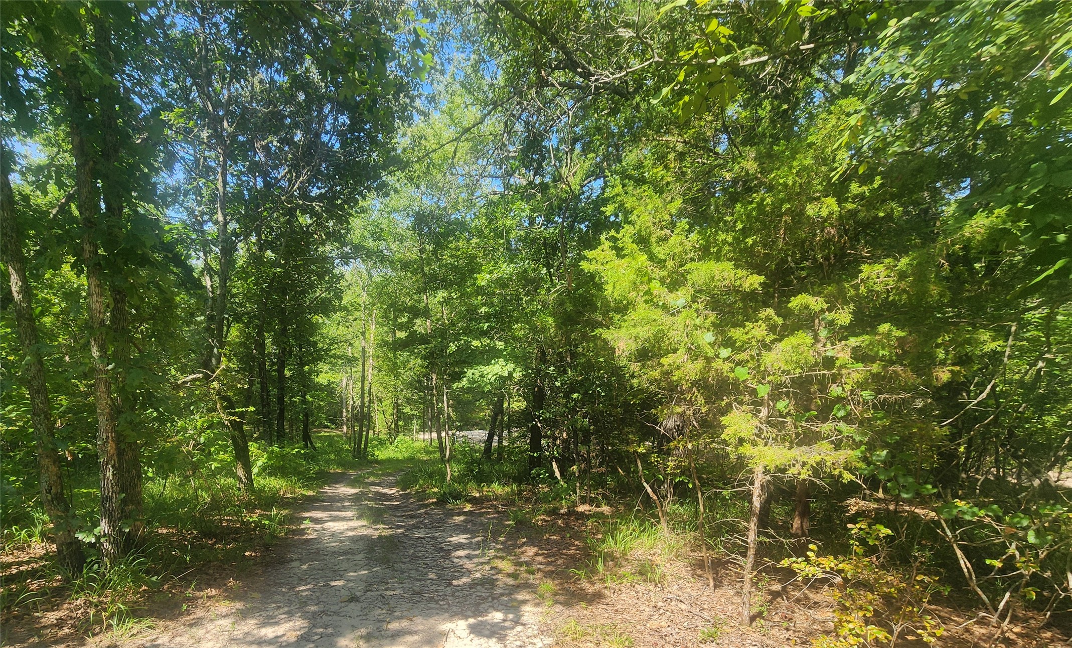 S Skylark Road Property Photo 50