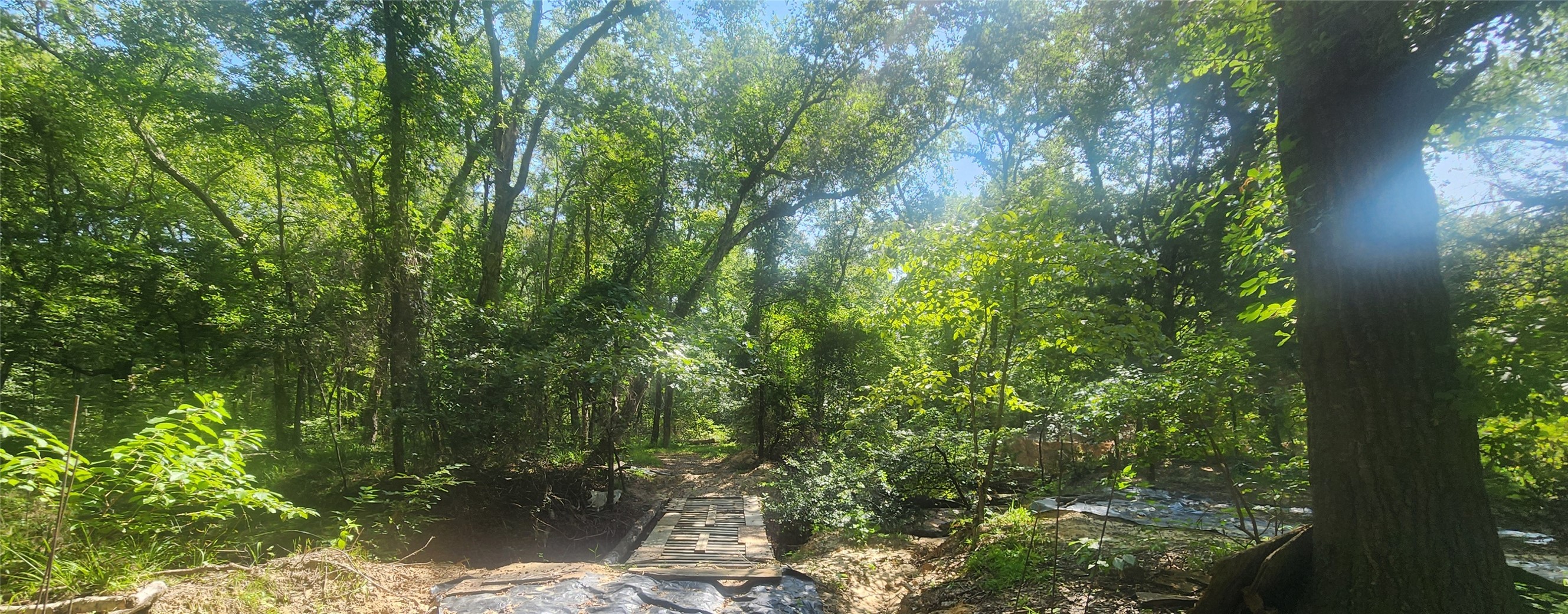 S Skylark Road Property Photo 55