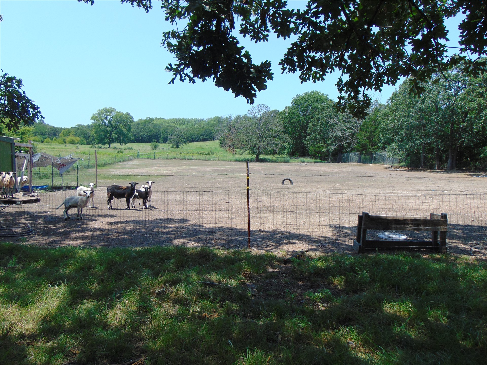 447 Ranch Property Photo 12