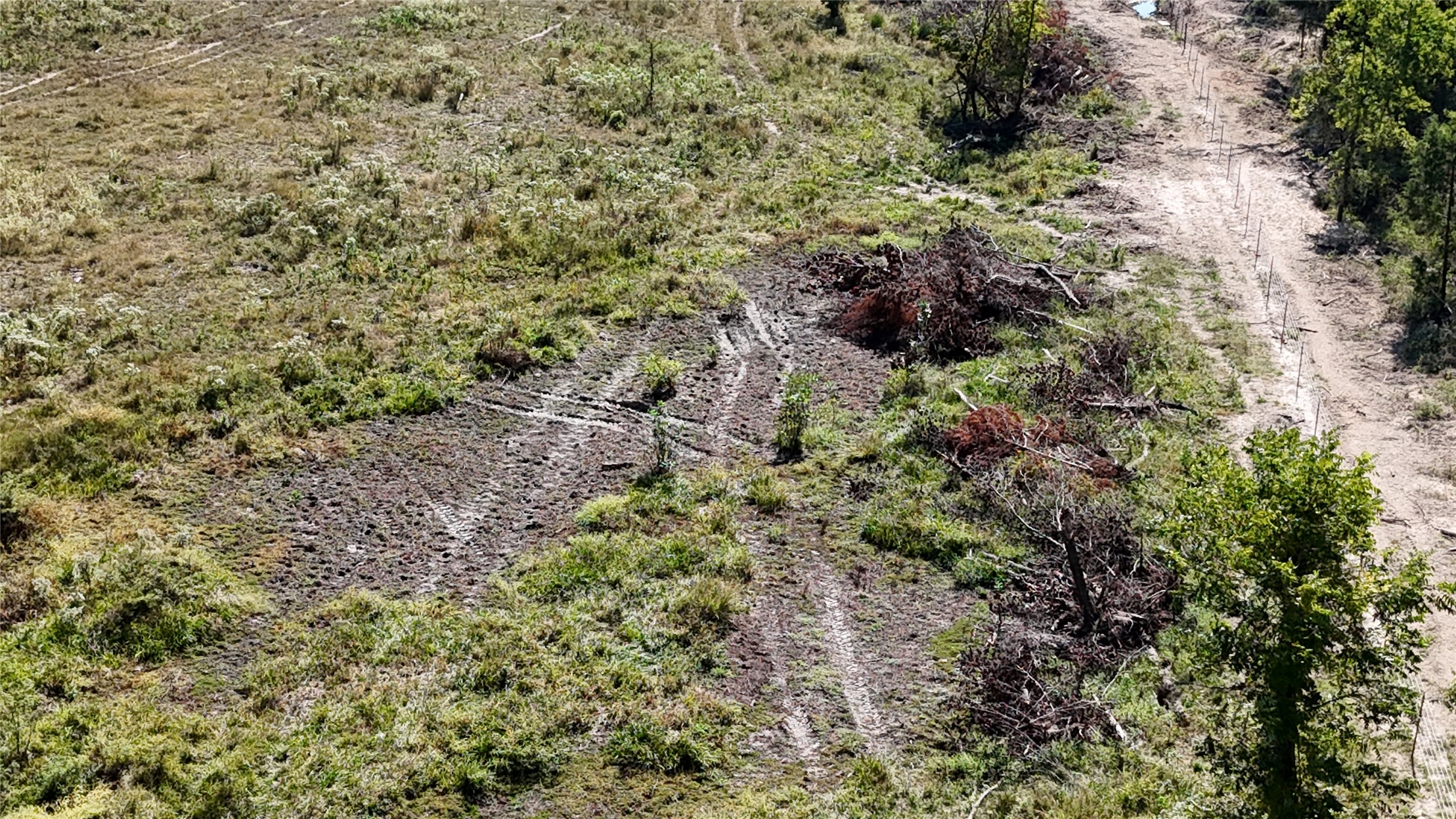 000 Sandy Creek Property Photo 5